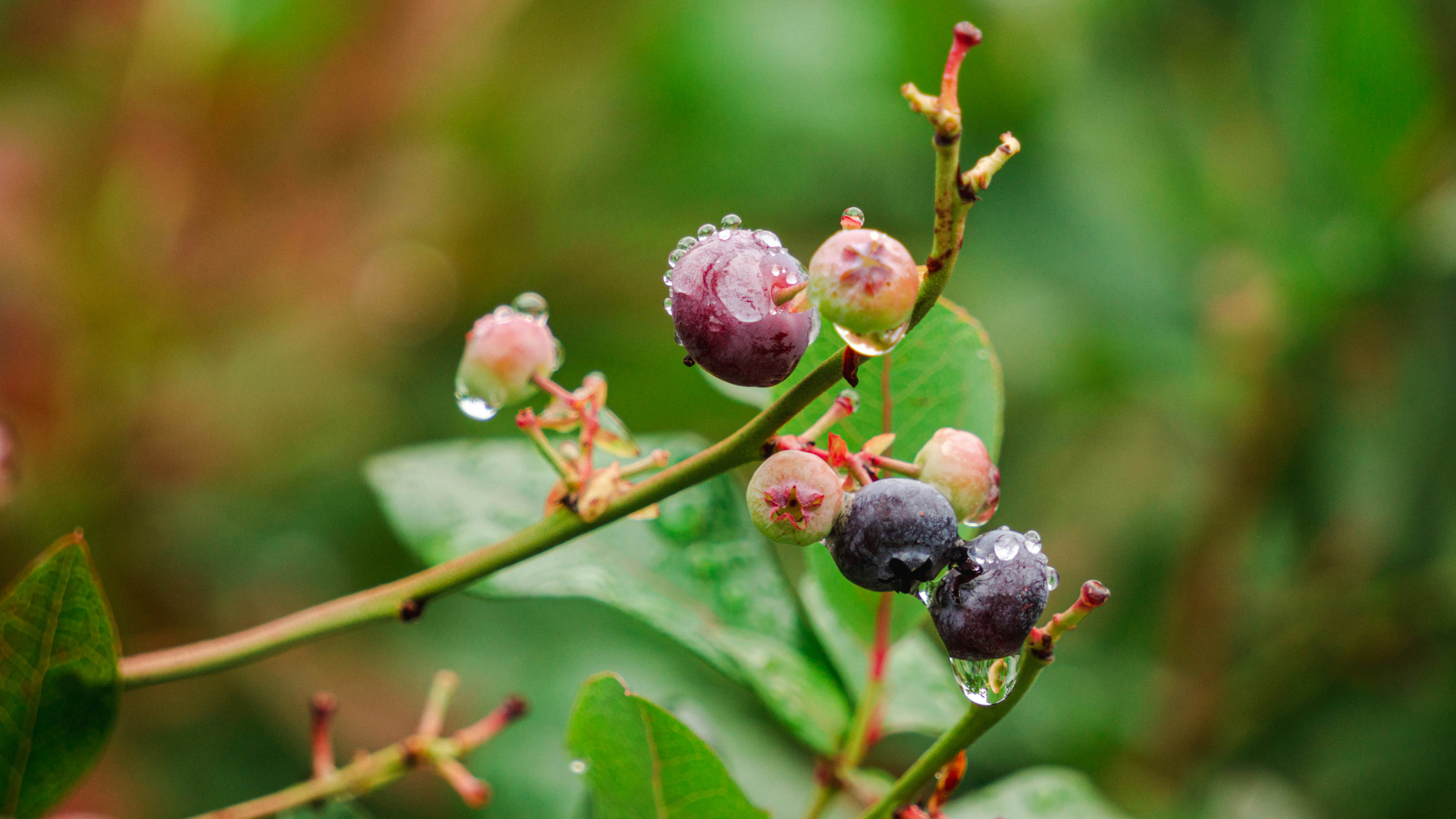 Photo by anainsomnia