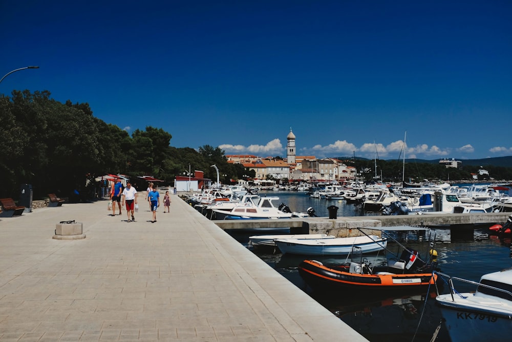 people walking on dock near body of water during daytime