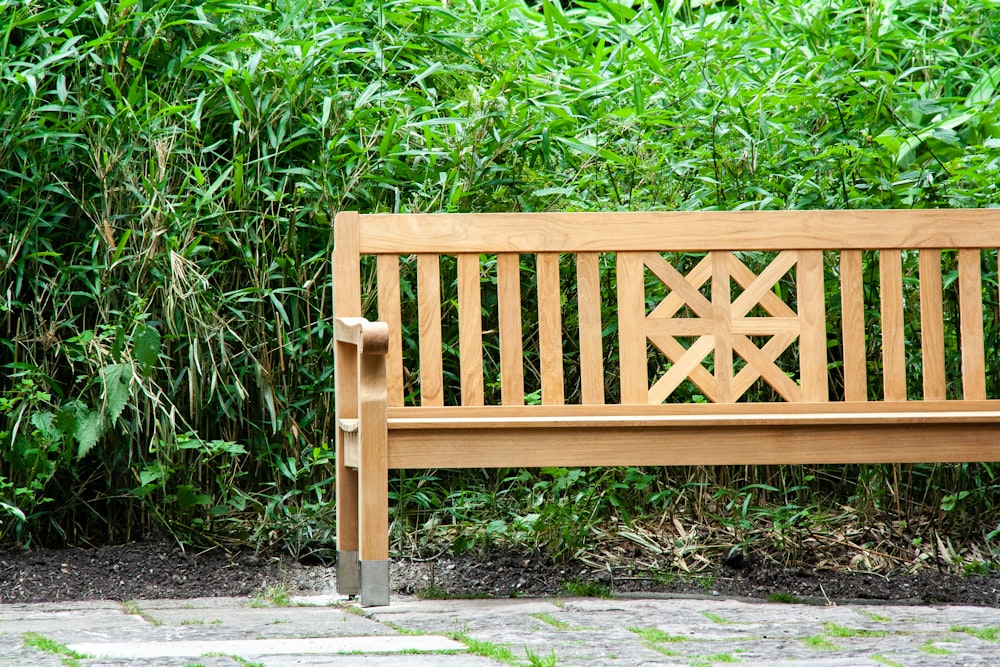 brown wooden bench beside green leaves