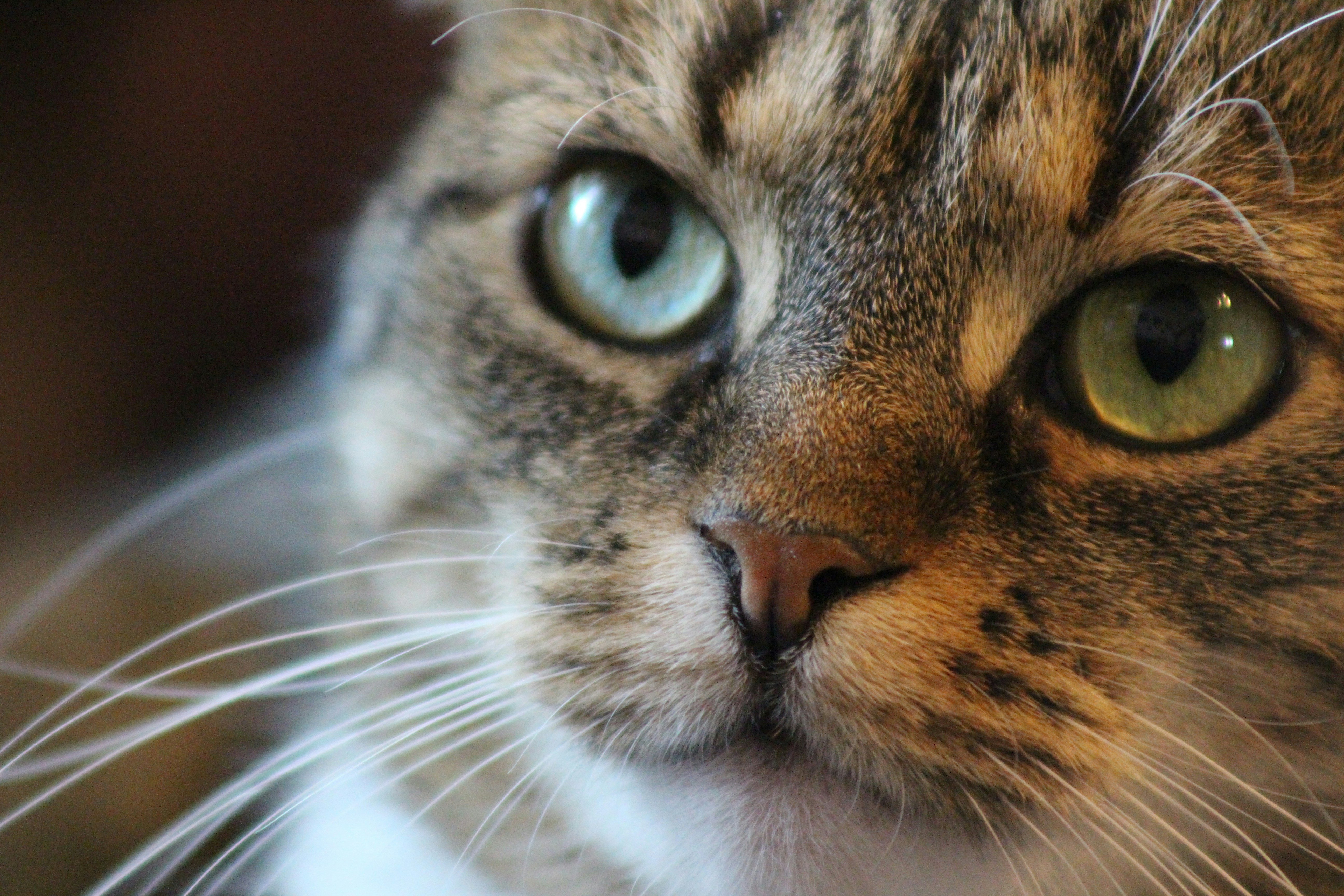 Photo by marjorylucabaxter