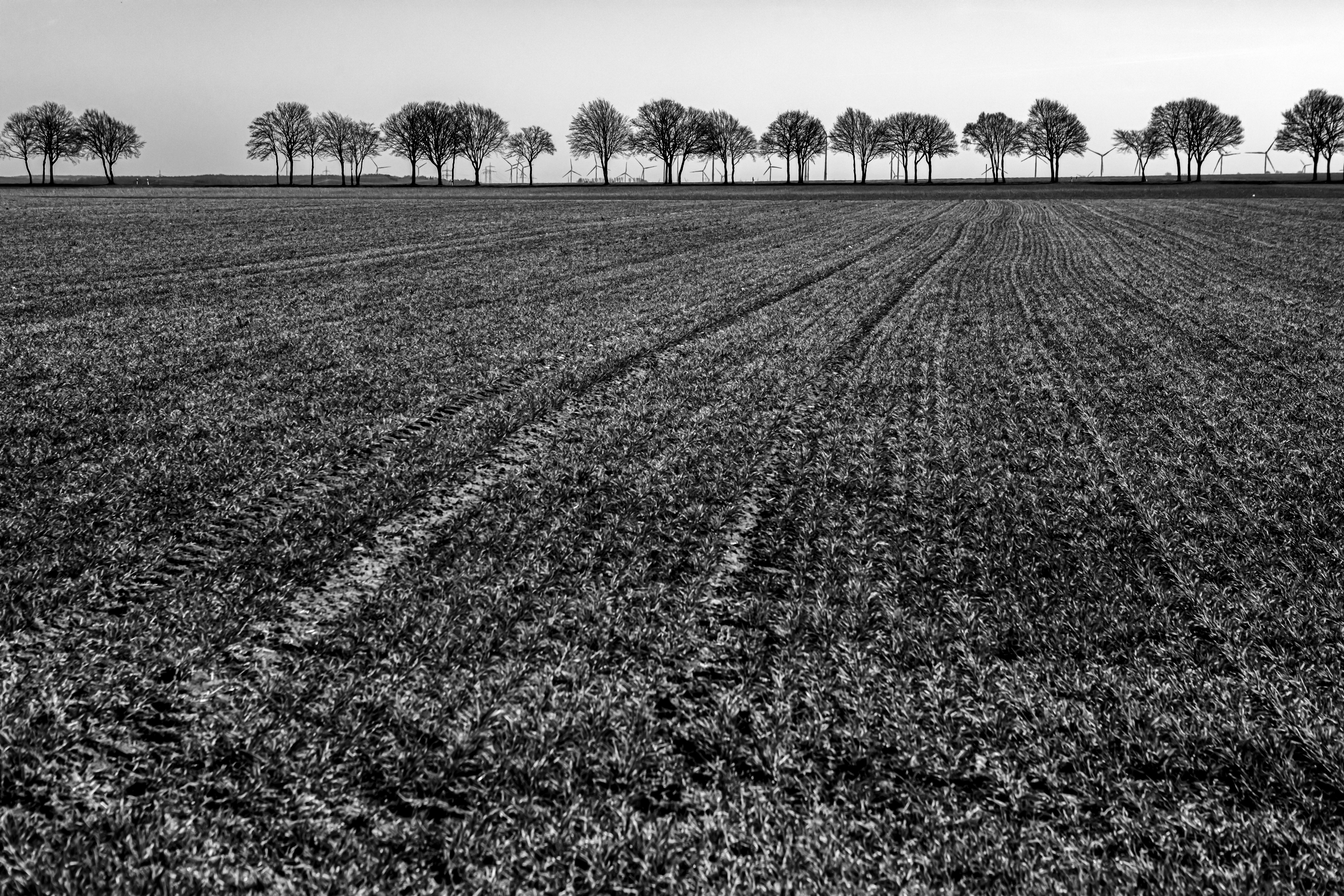 Photo by wilhelmgunkel