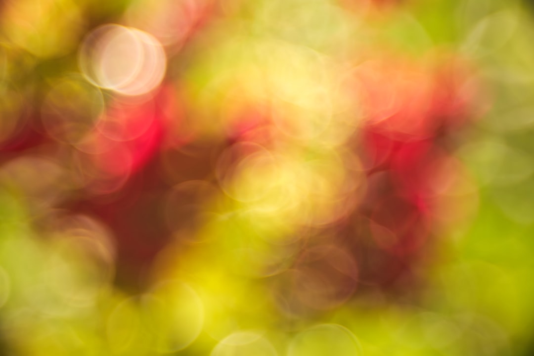 green and red bokeh lights