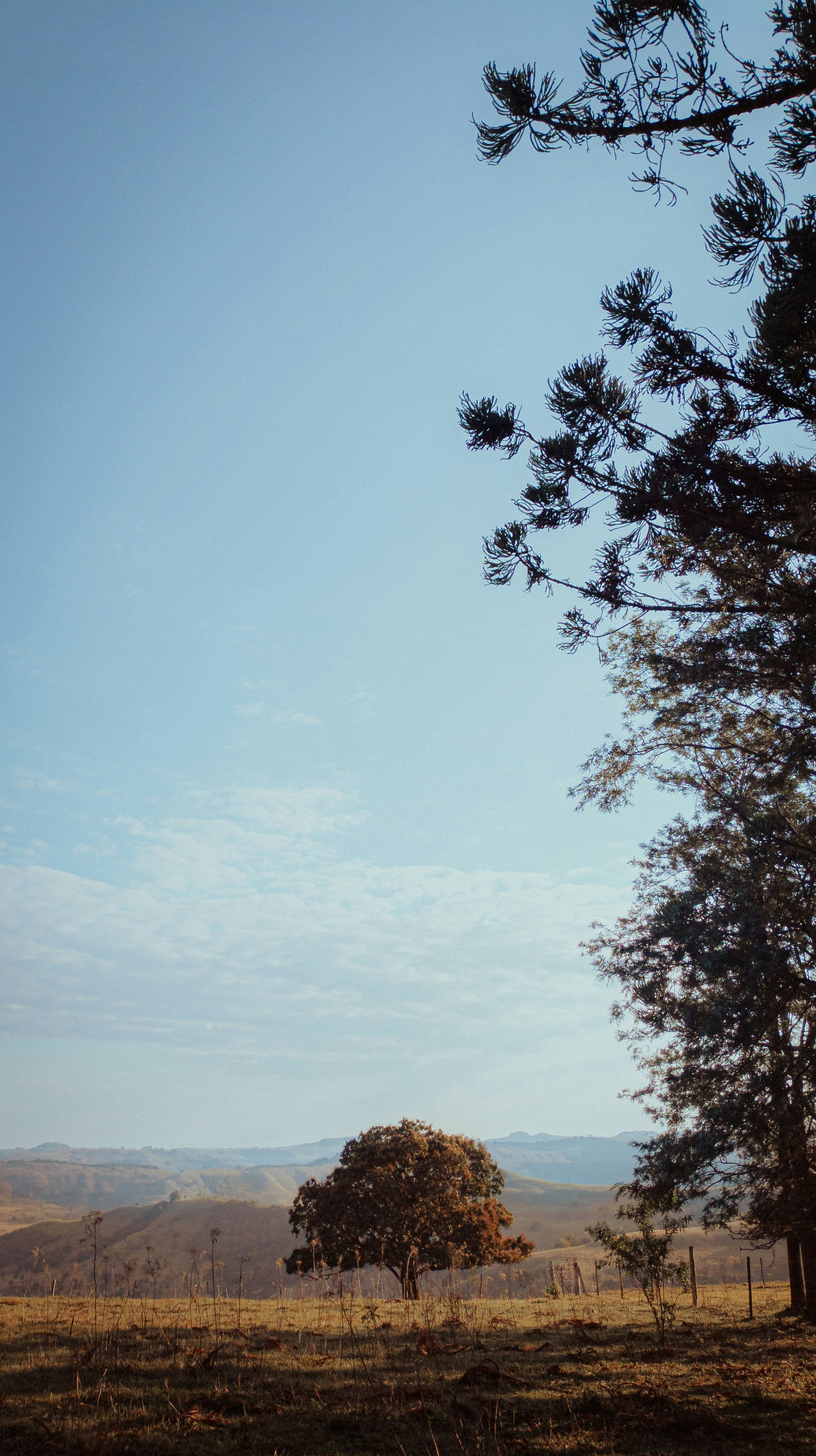 Photo by stecanella_mobileshots