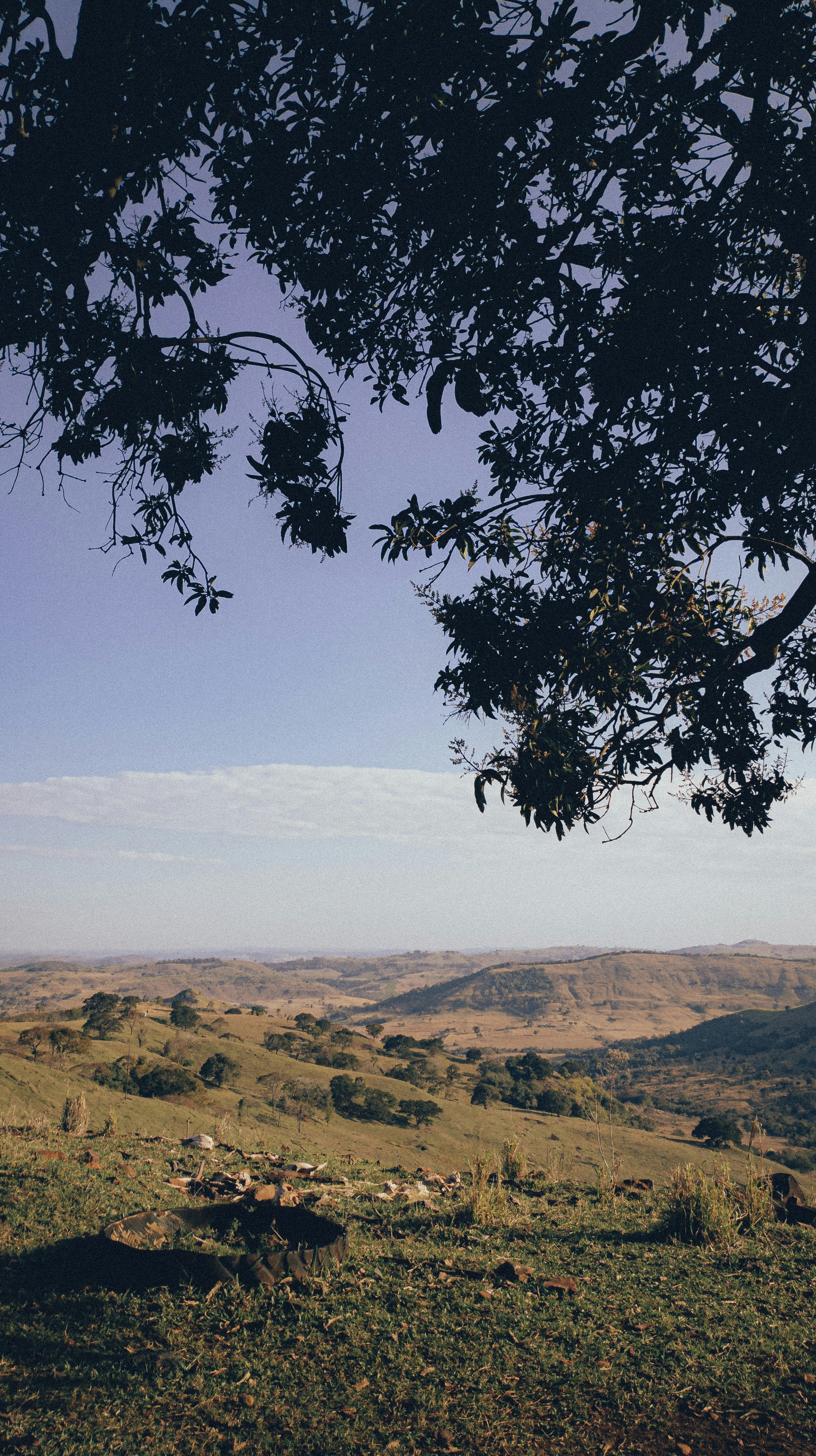 Photo by stecanella_mobileshots