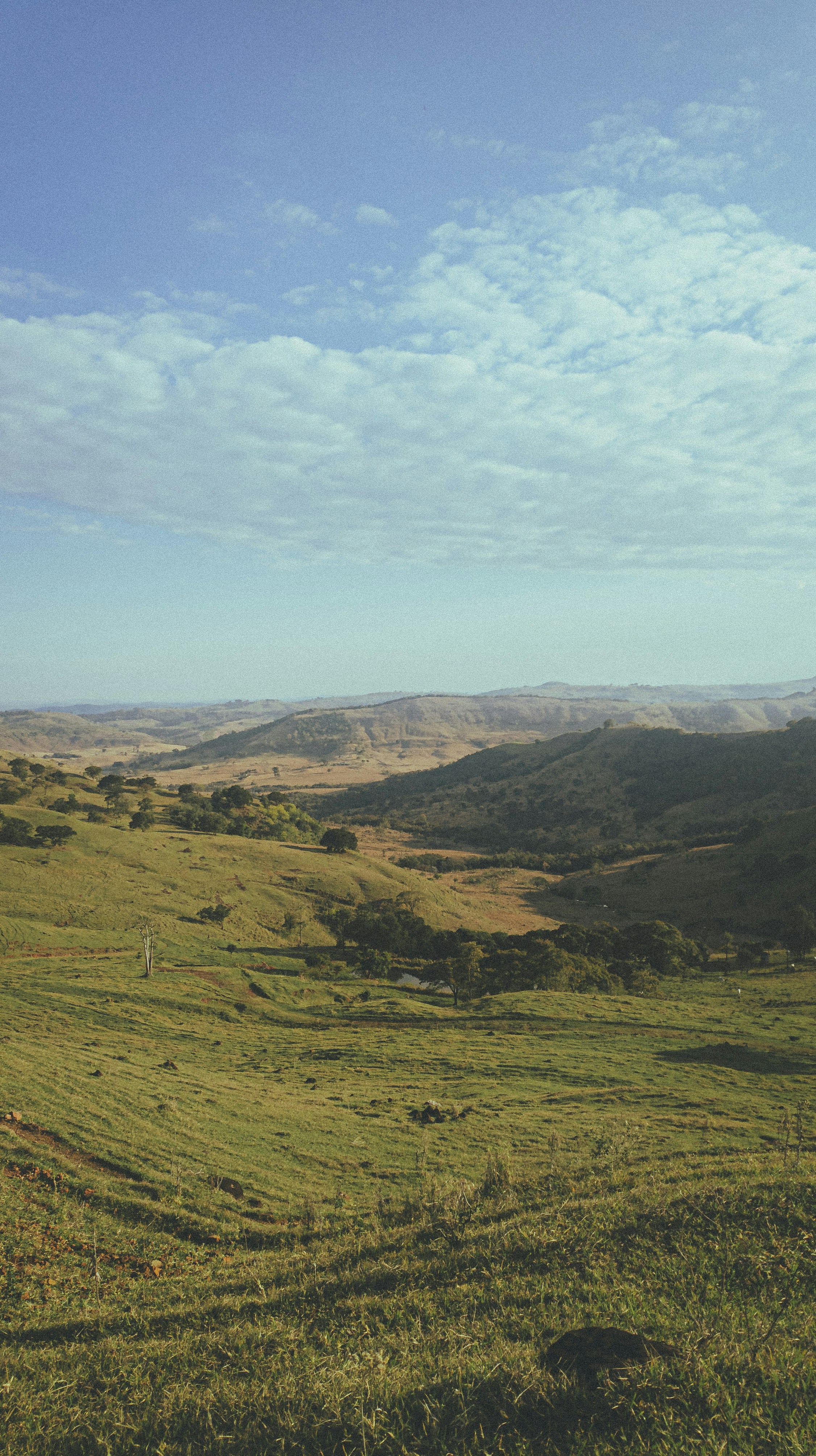 Photo by stecanella_mobileshots