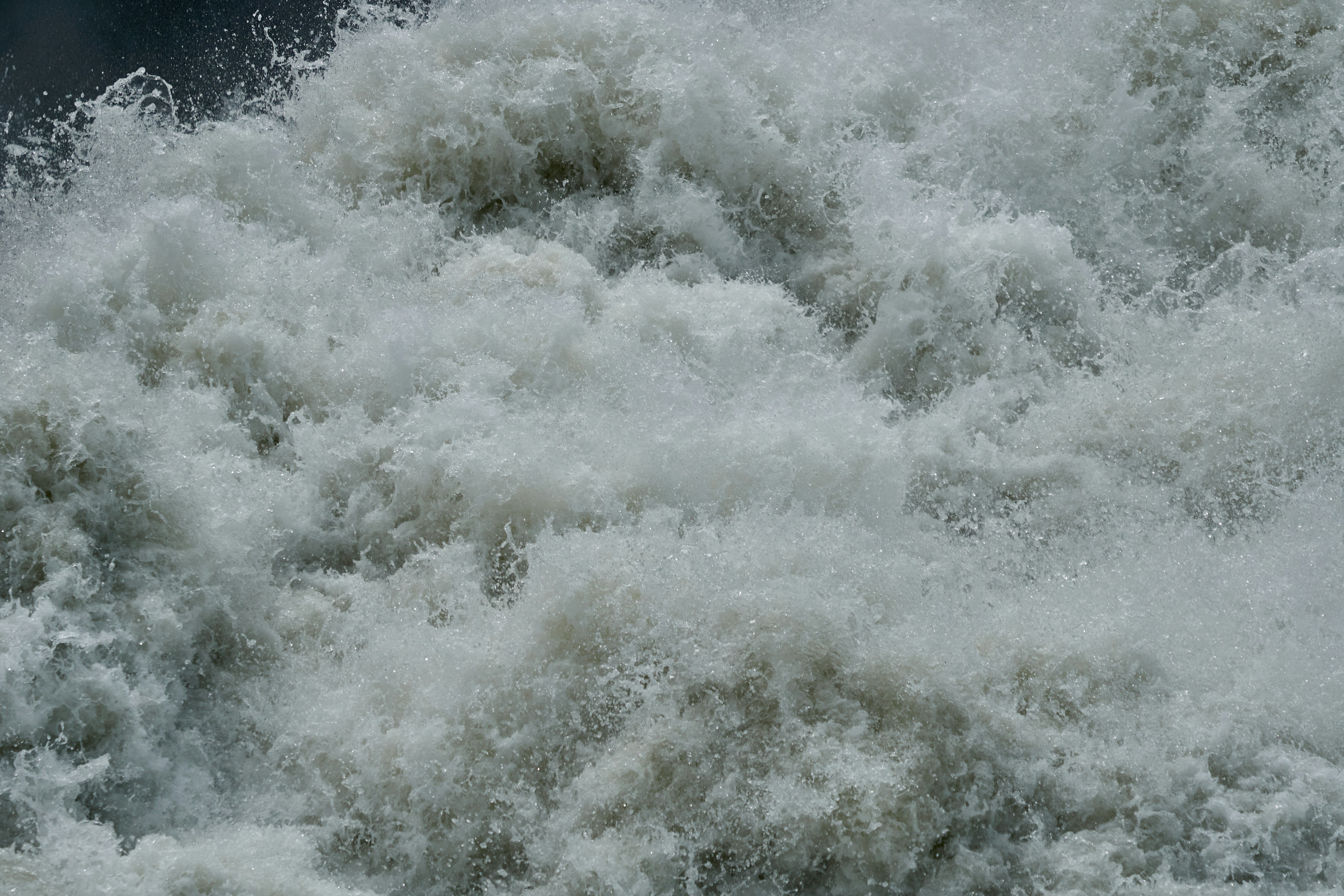 Photo by wolfgang_hasselmann