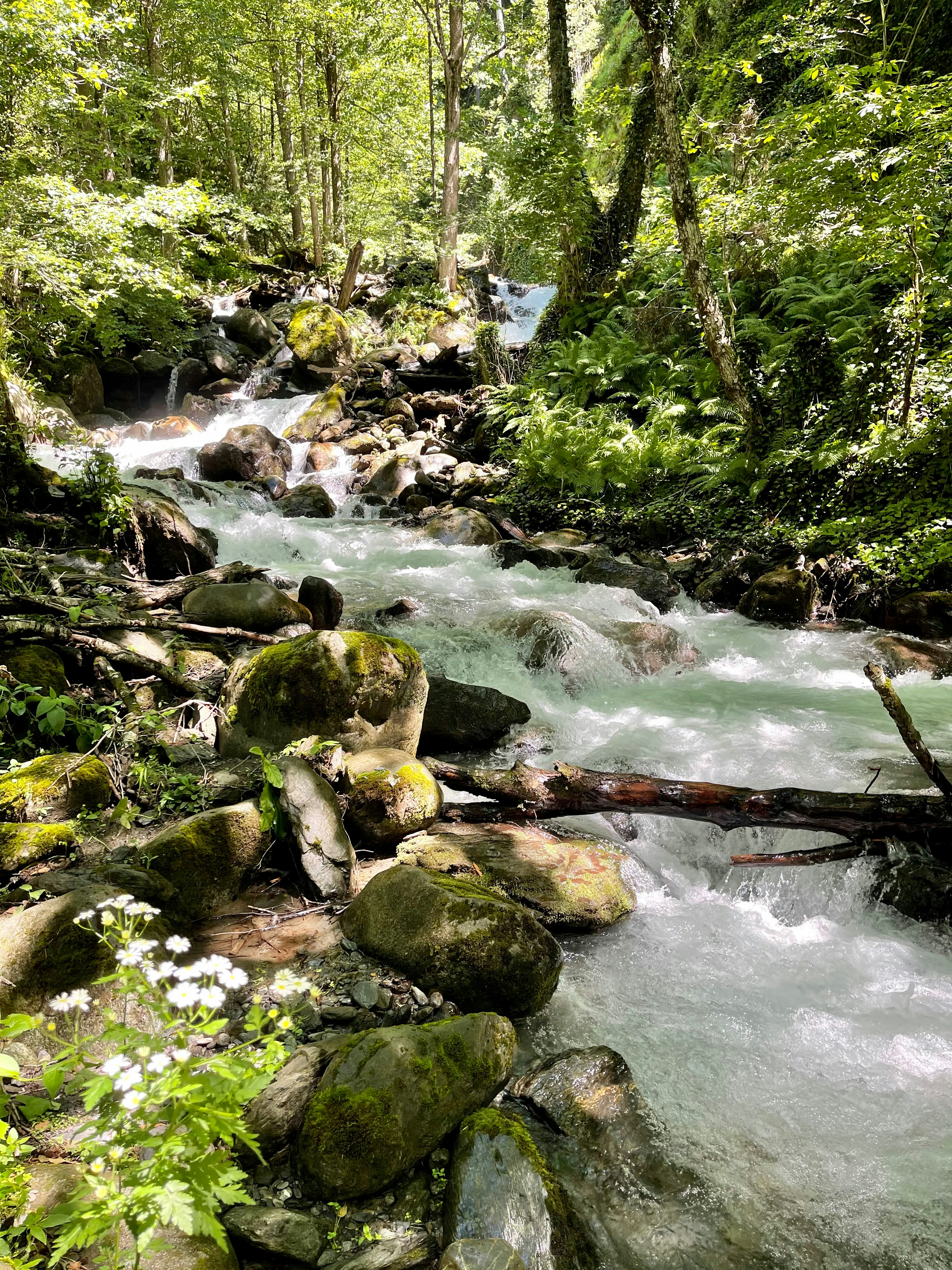 Photo by oksana_vorobey