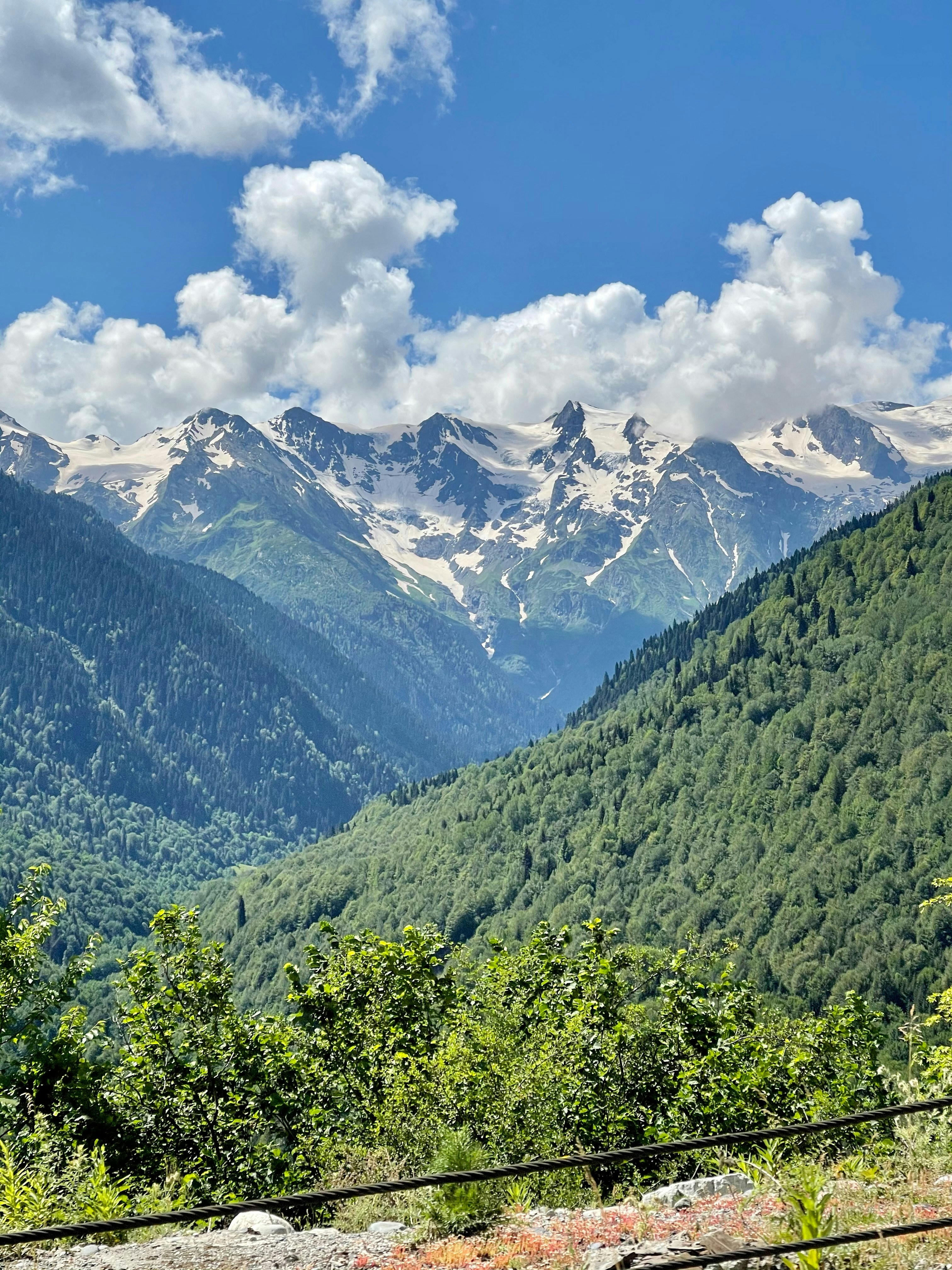 Photo by oksana_vorobey