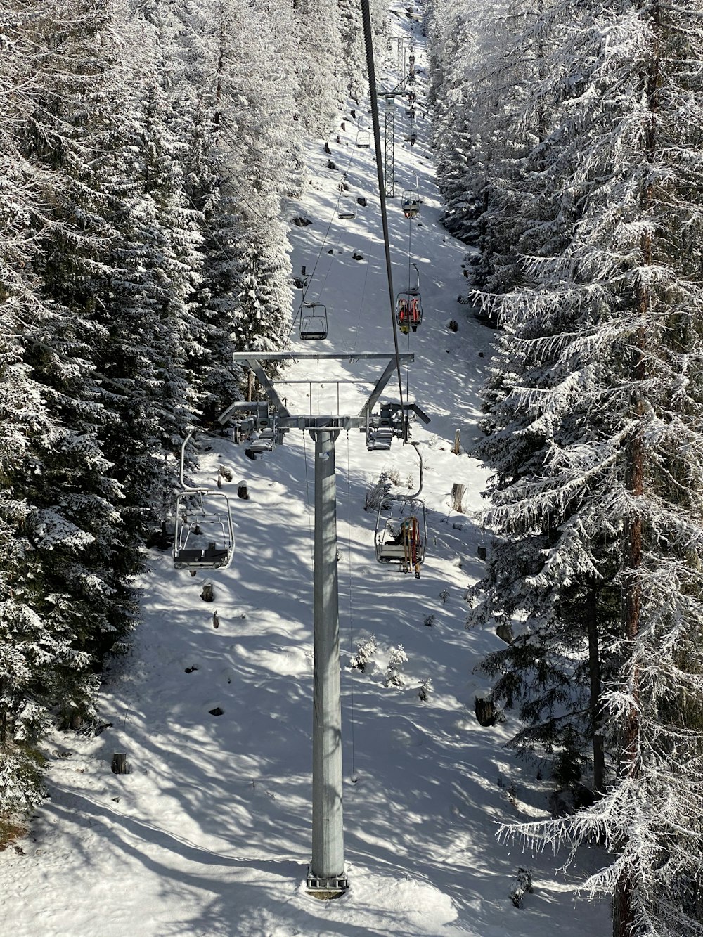 雪に覆われた木々の上を走るケーブルカー