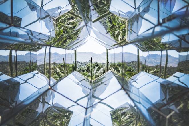 green trees in a clear glass building