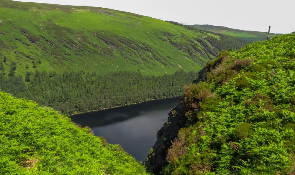 green grass covered mountain beside river during daytime