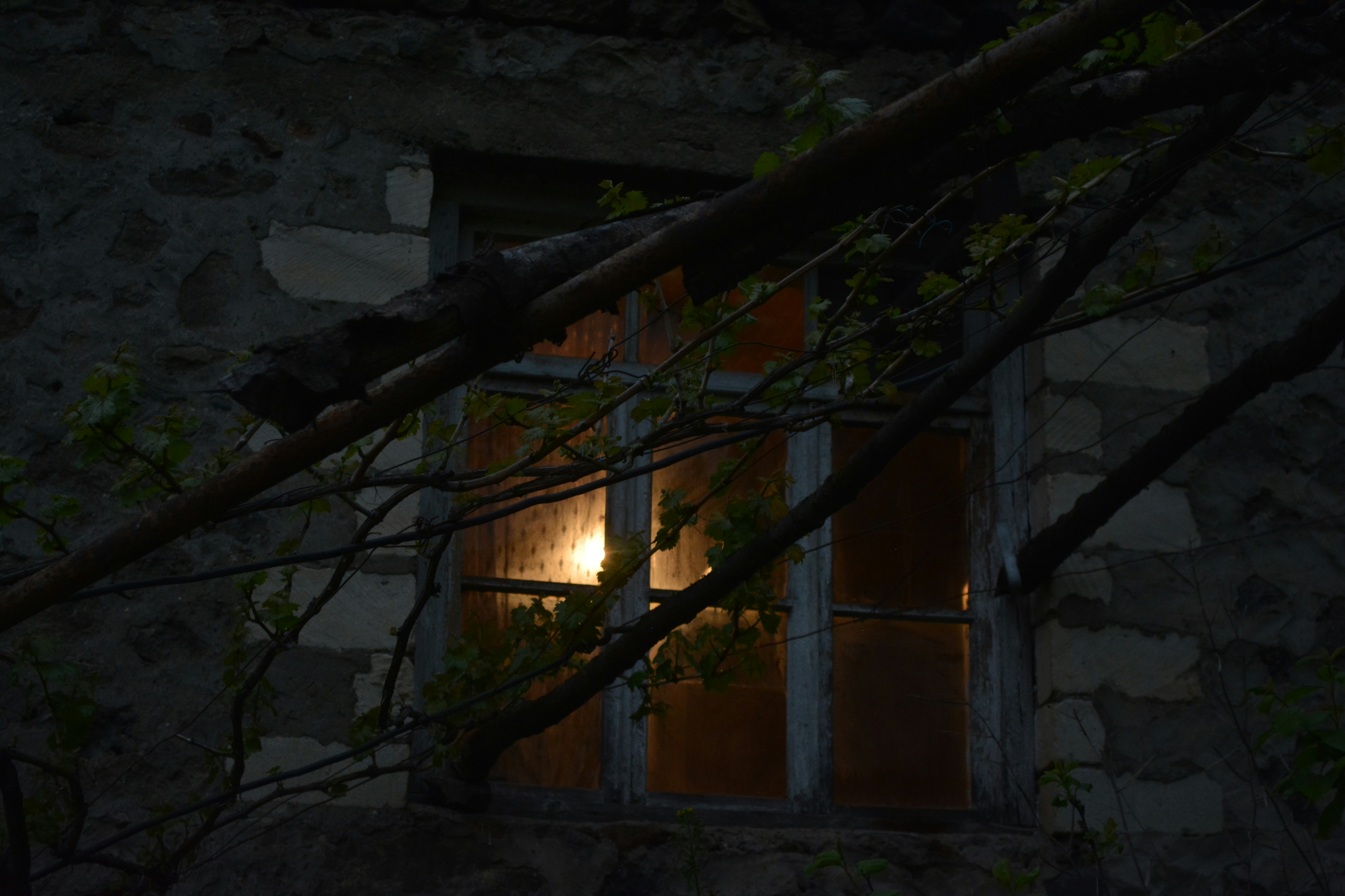 Photo by olga_vorskanian