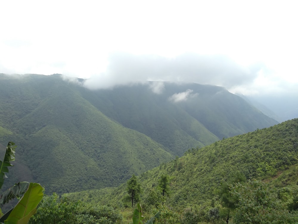 green mountains under white sky during daytime