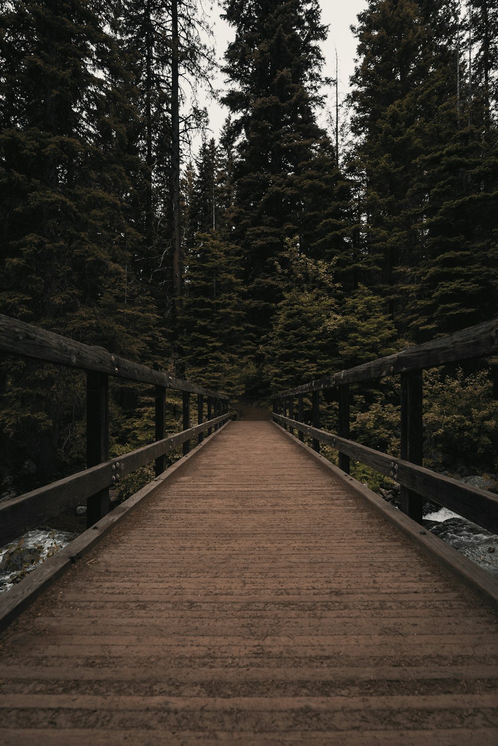 Braune Holzbrücke im Wald tagsüber