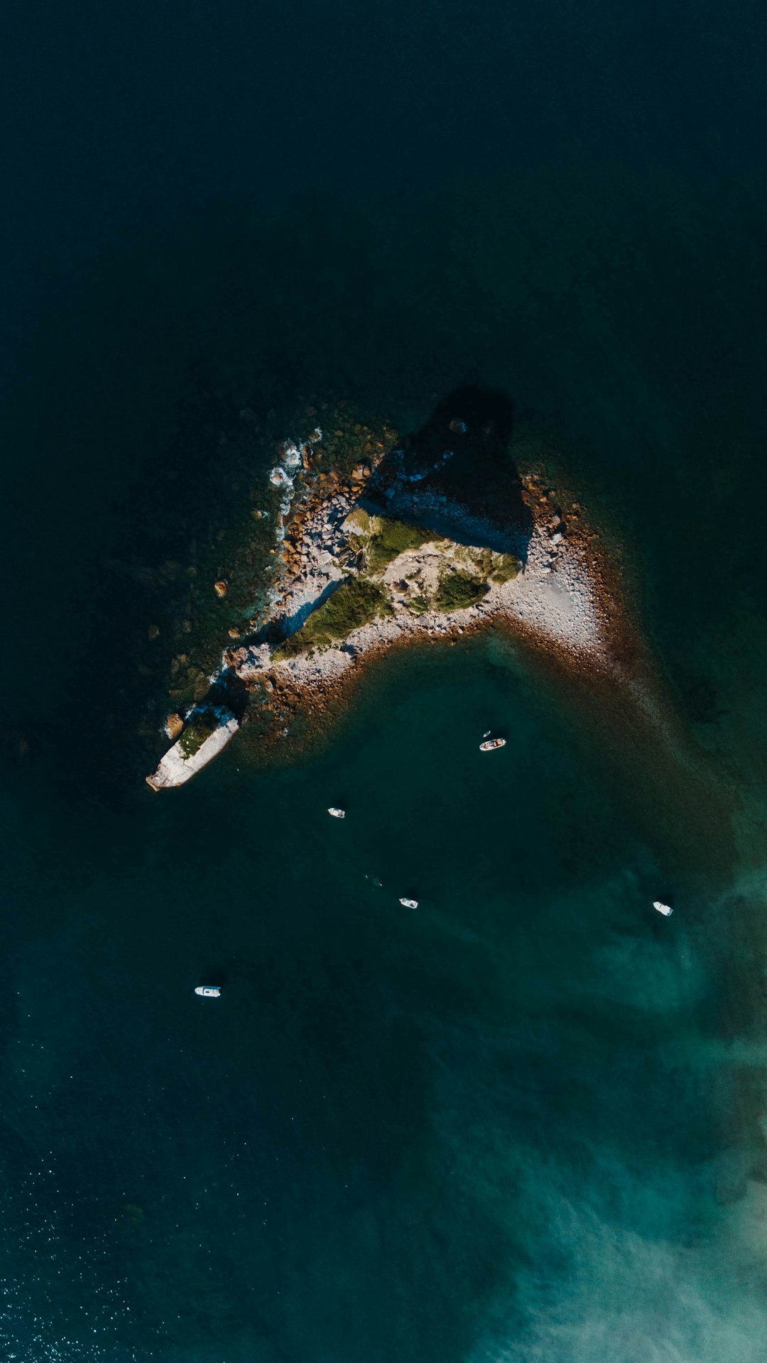 aerial view of person swimming on sea during daytime