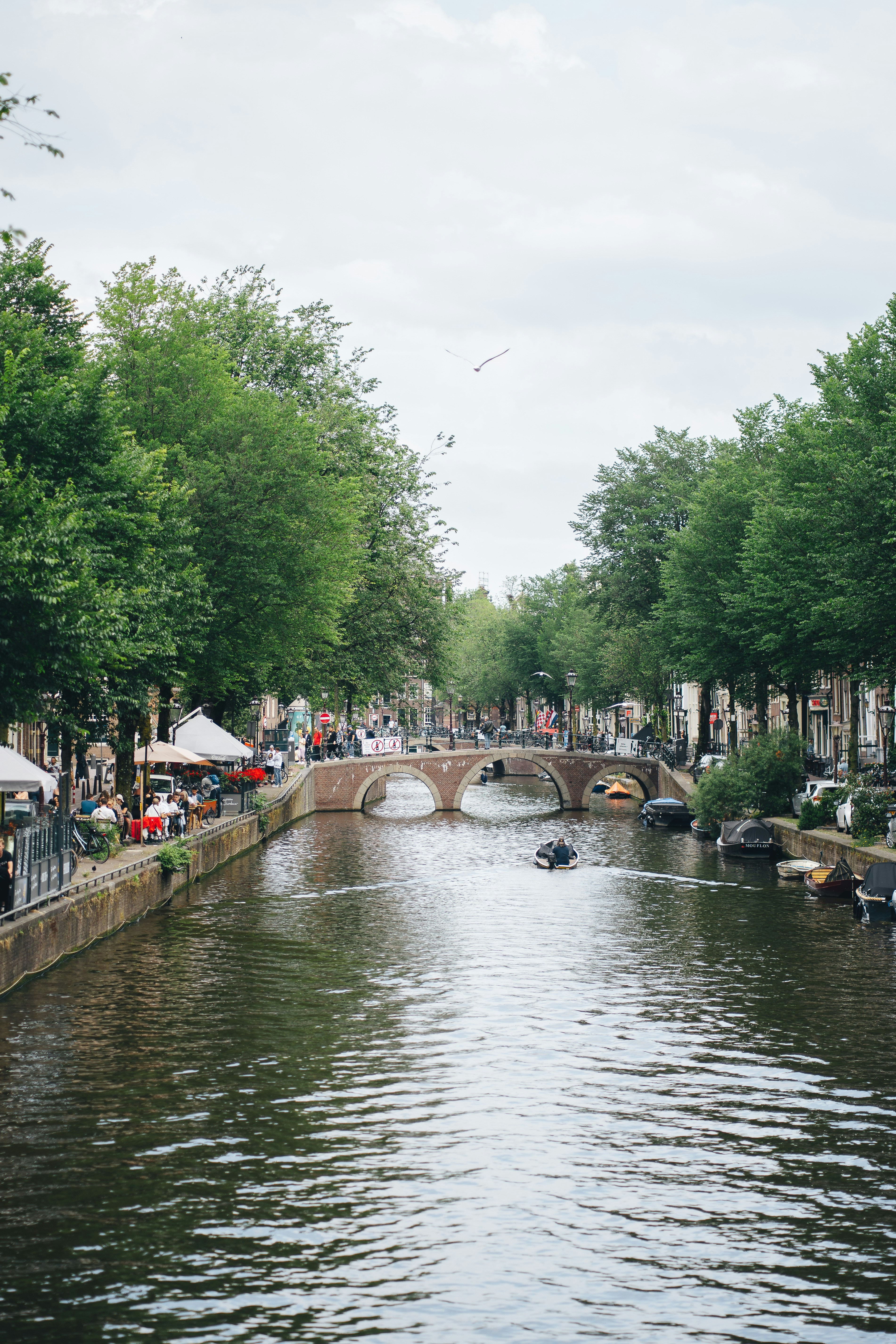 Photo by real_jansen