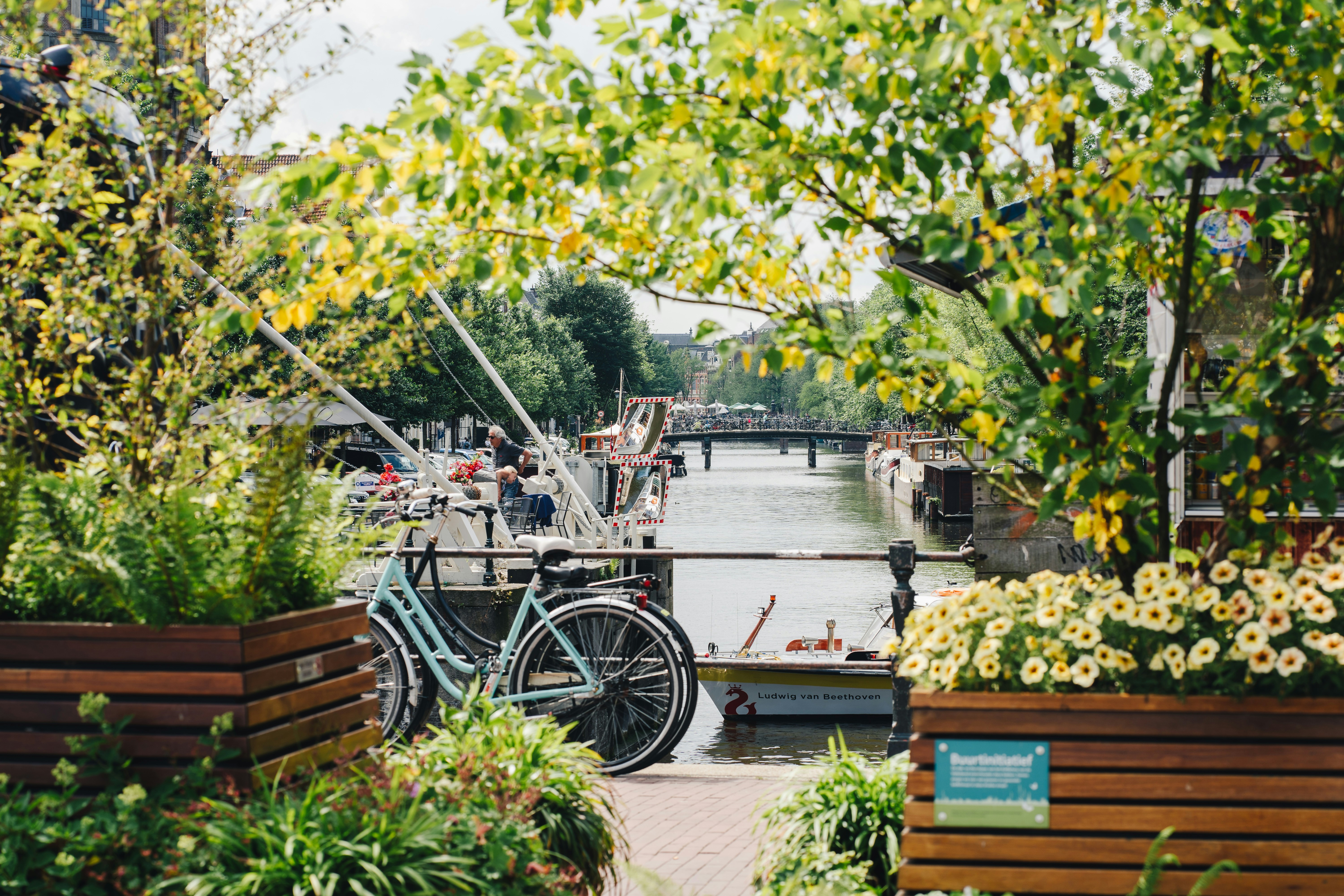 Photo by real_jansen