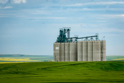 Bucket elevator with robust metal buckets moving grain inside a spacious warehouse