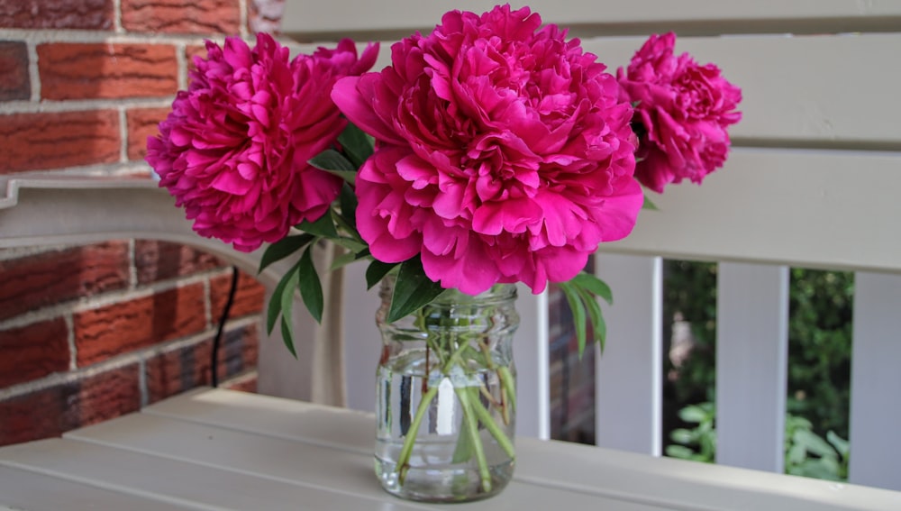 pink flower in clear glass vase