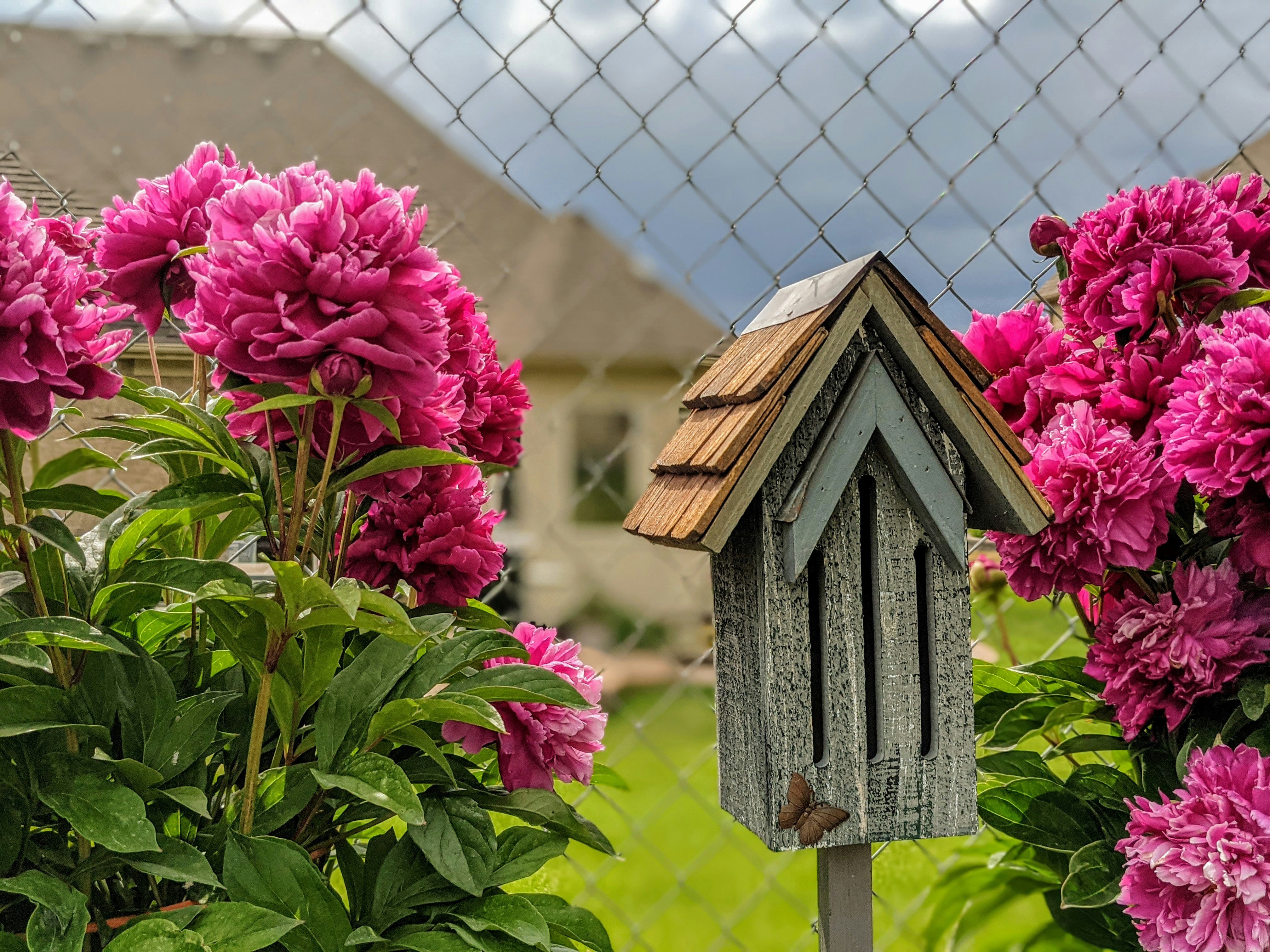 Brown wooden birdhouse surrounded by pink flowers in a garden