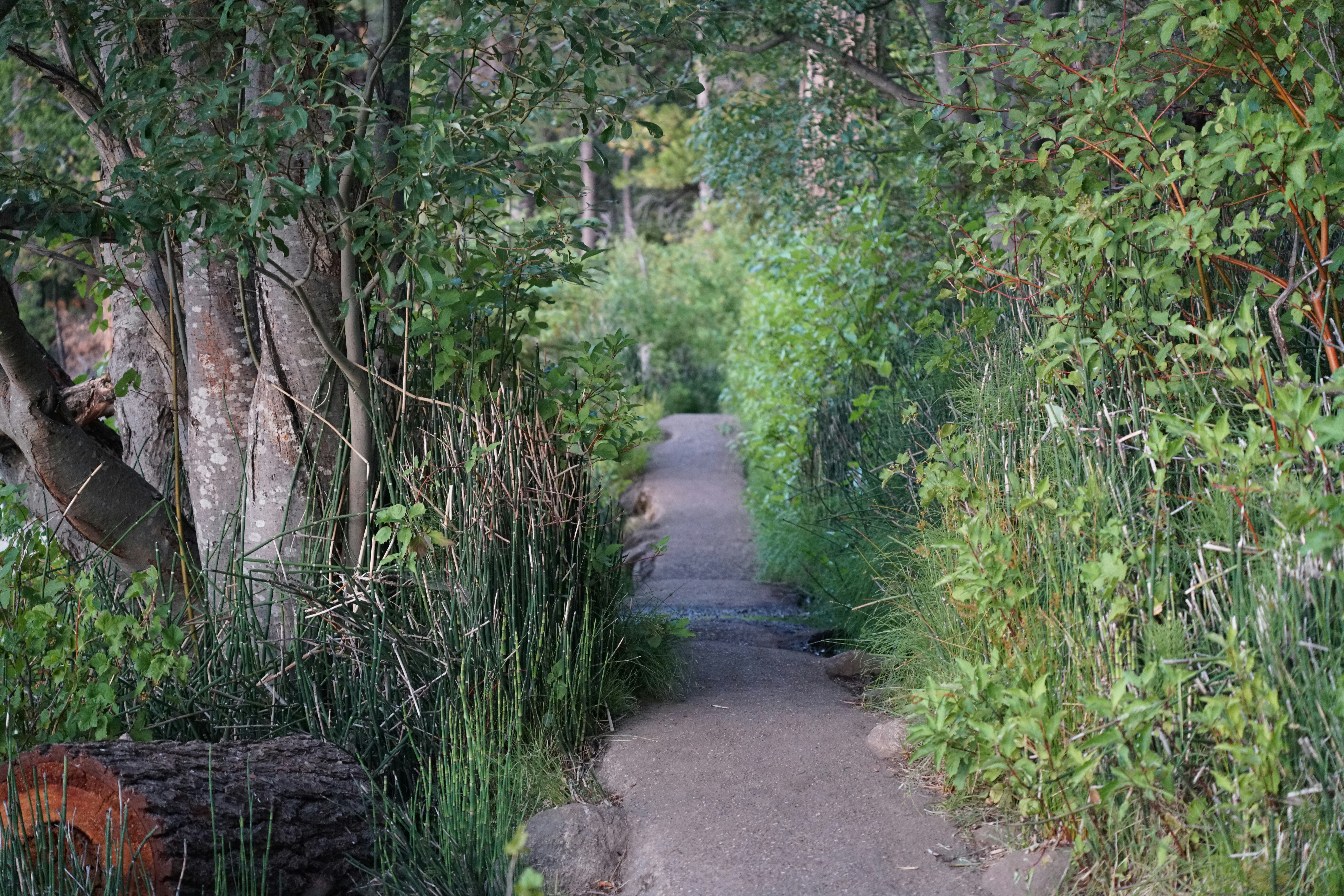 Photo by tim0at0unsplash