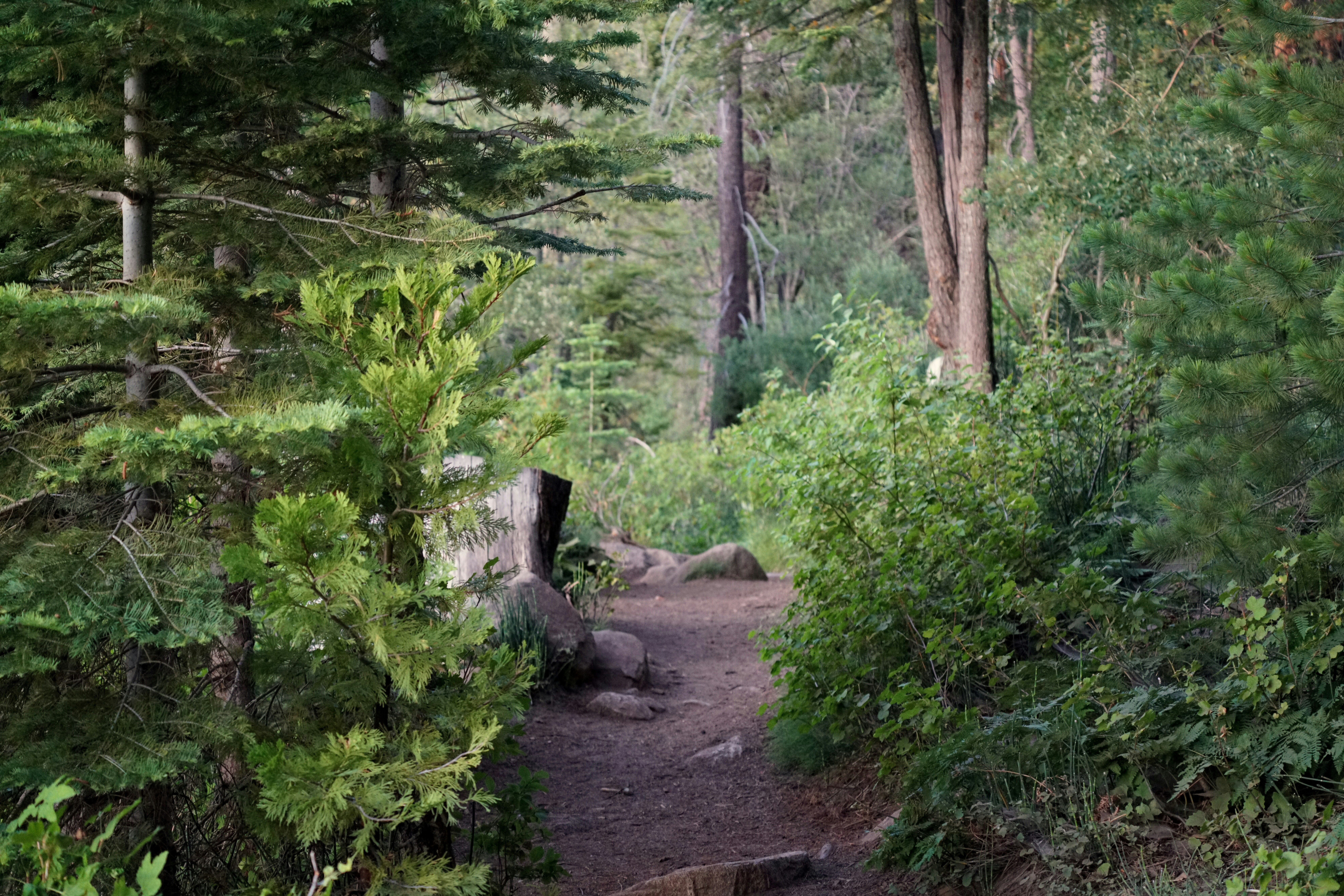 Photo by tim0at0unsplash