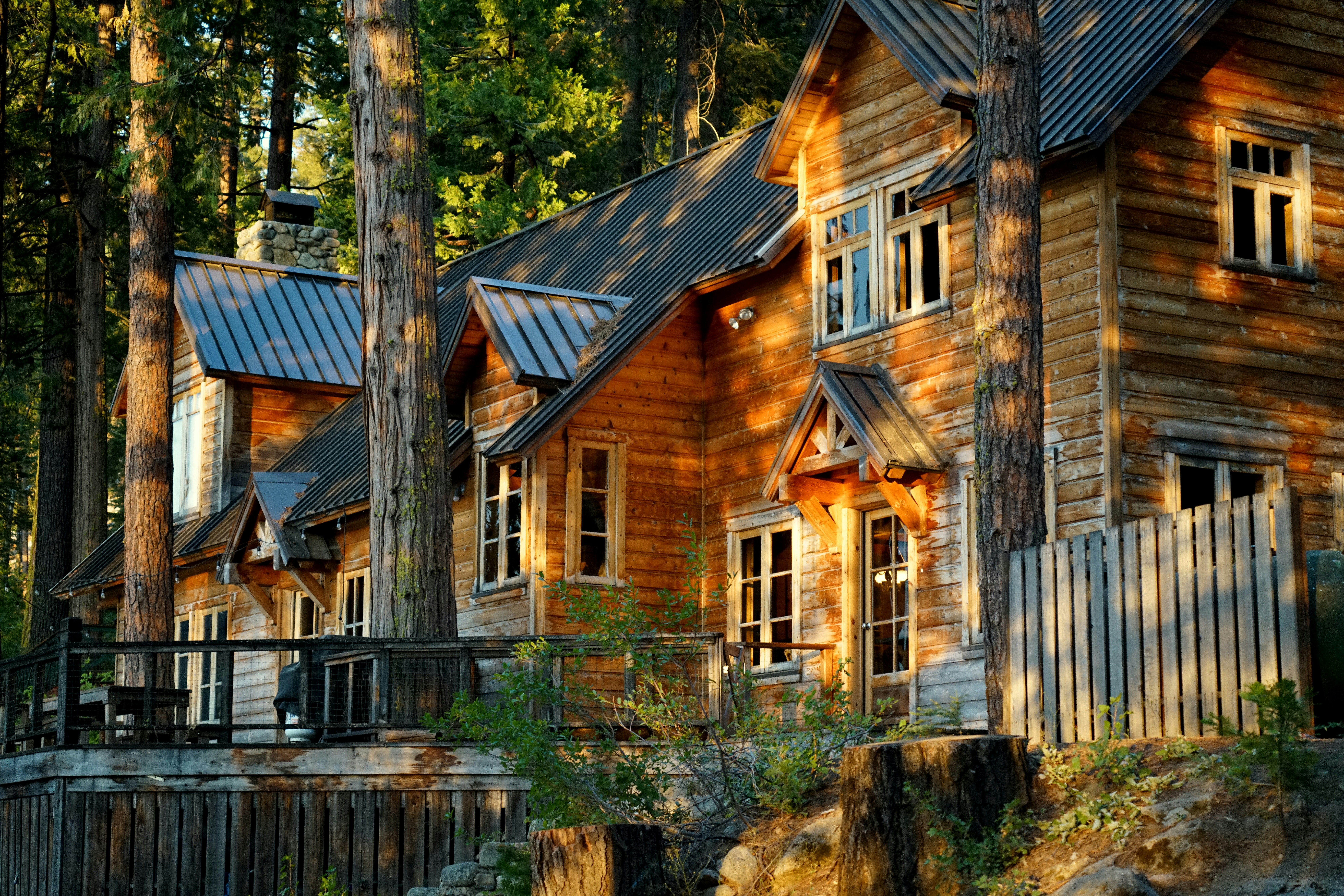 summer camp wallpaper, wallpaper, Best Activities to Keep Kids Entertained at Camp 3