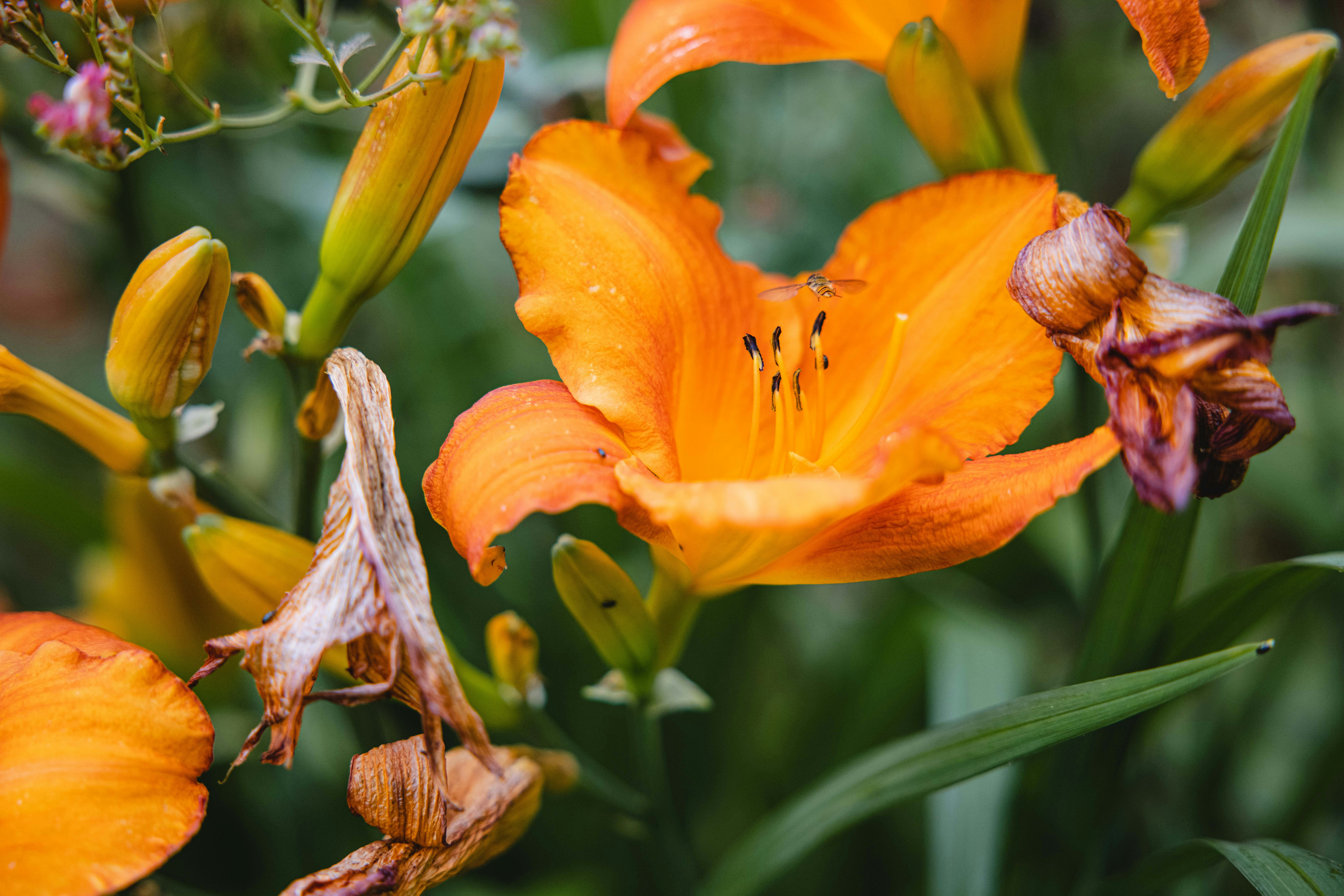 Photo by lukethorntonofficial