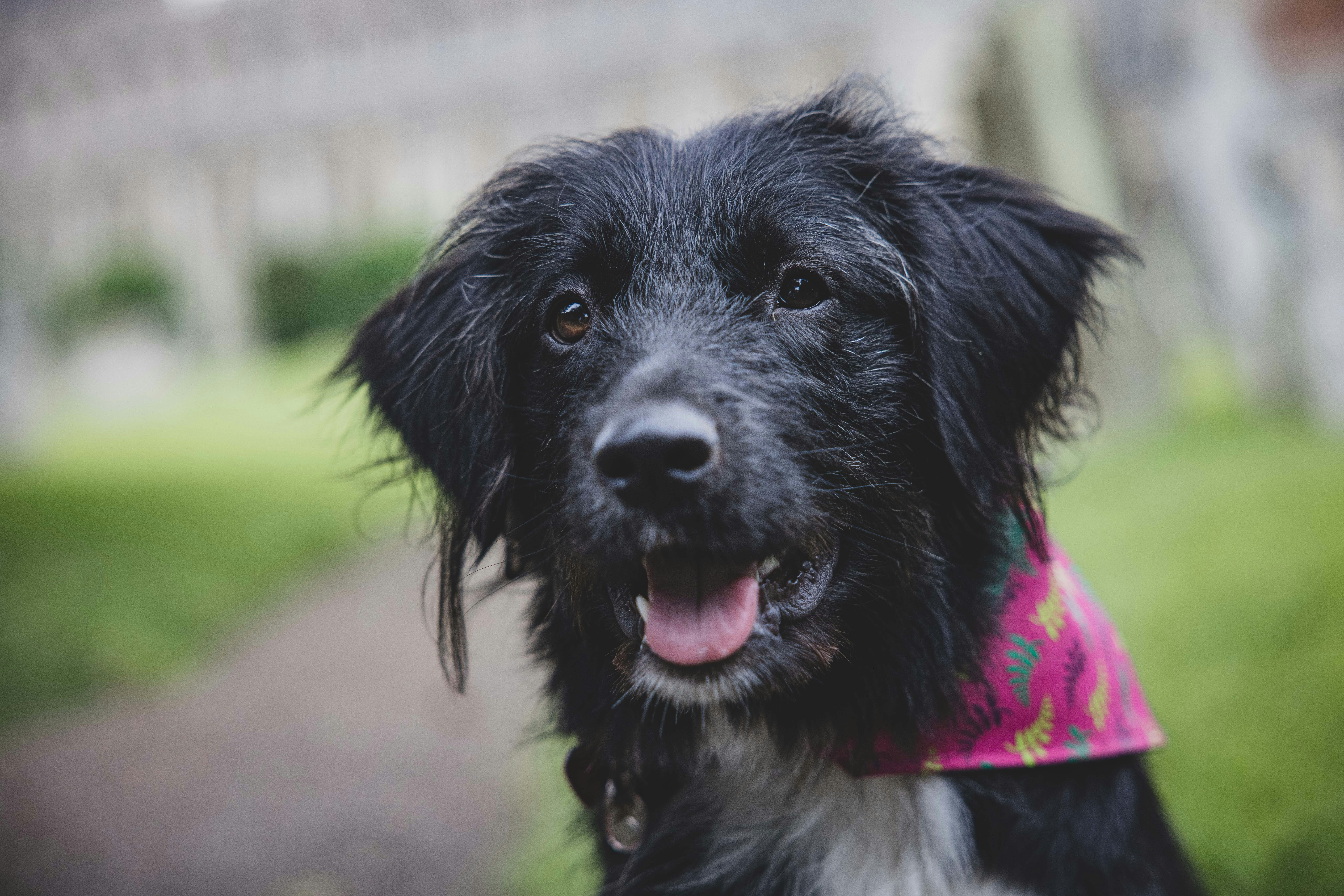 Photo by lukethorntonofficial