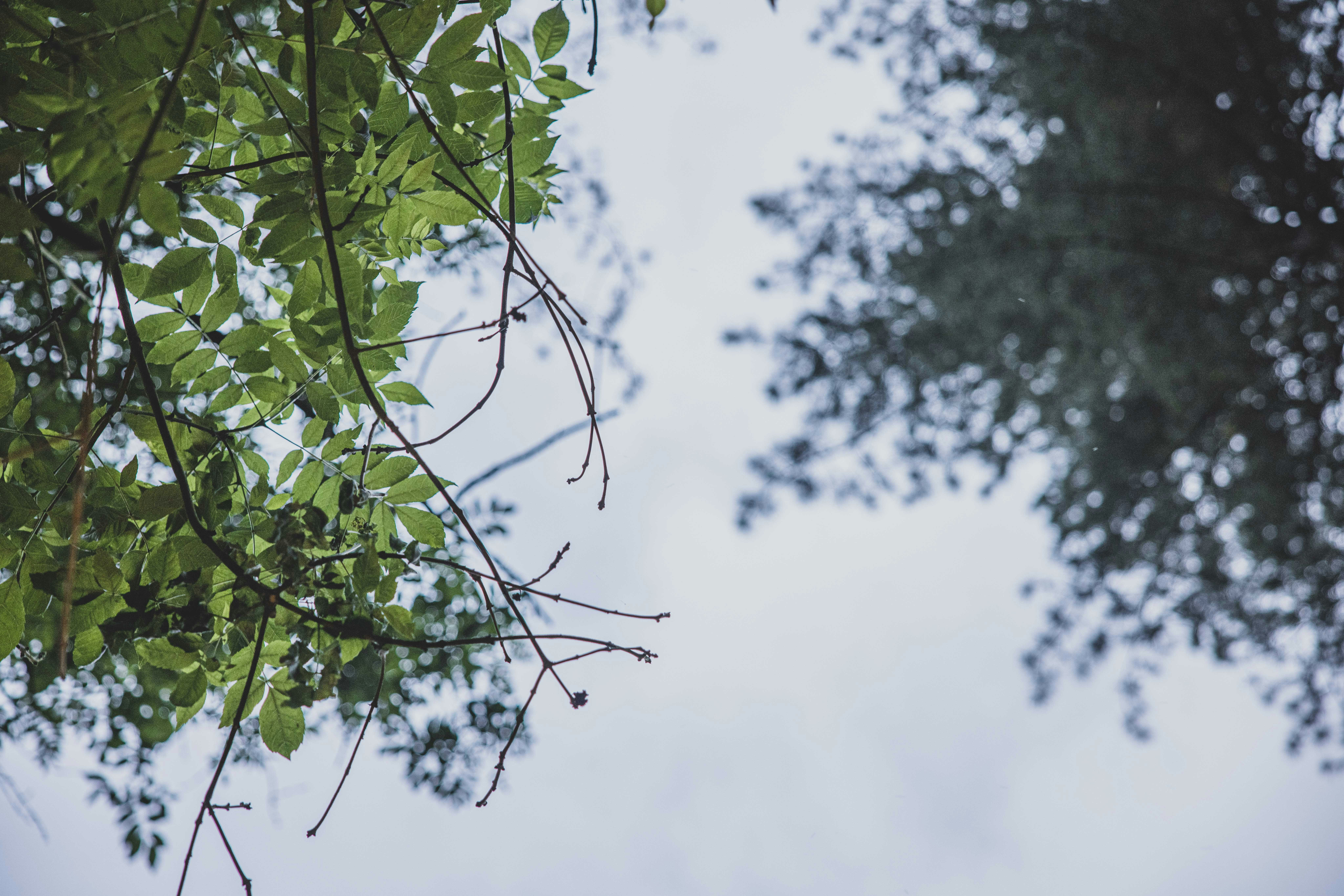 Photo by lukethorntonofficial