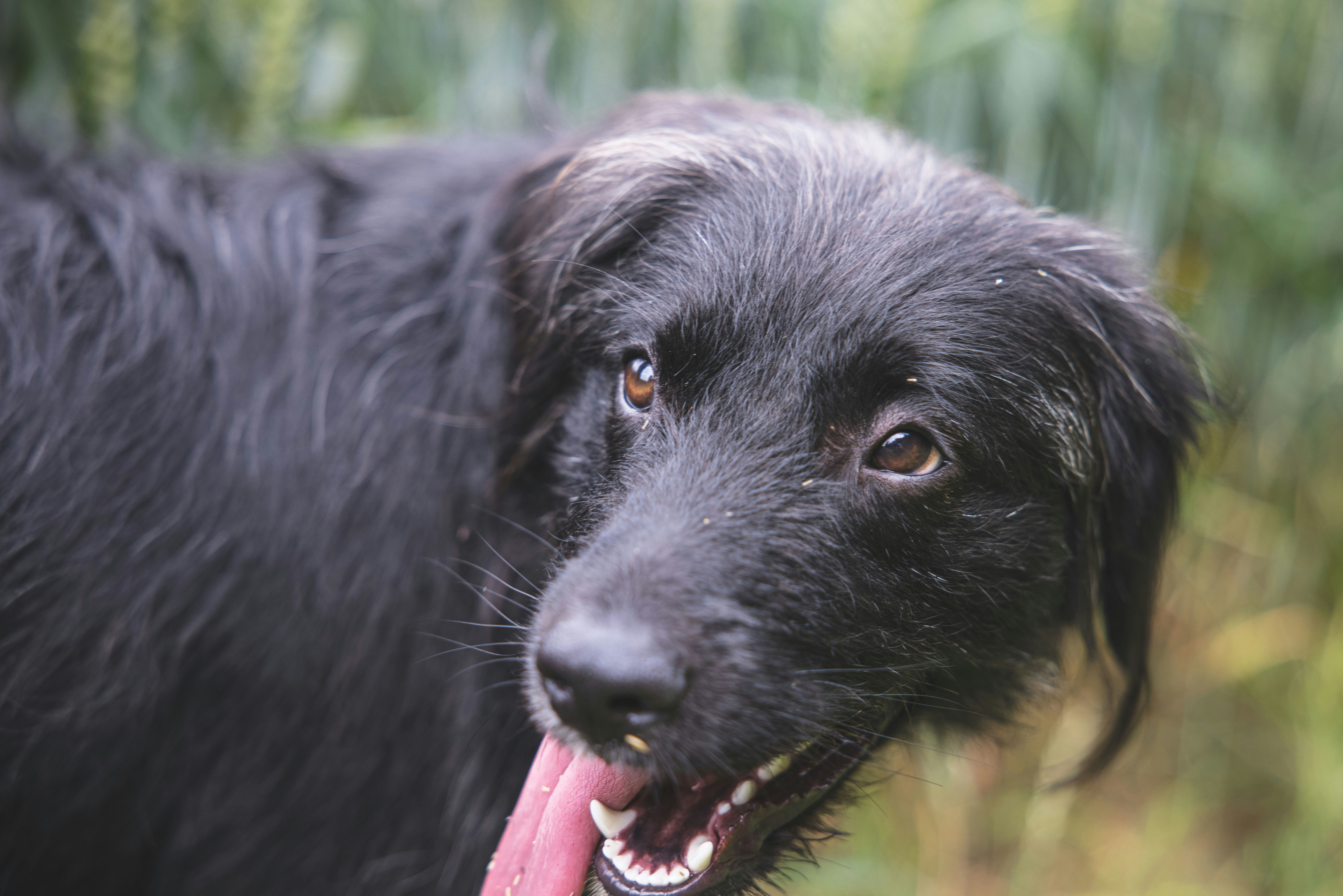 Photo by lukethorntonofficial