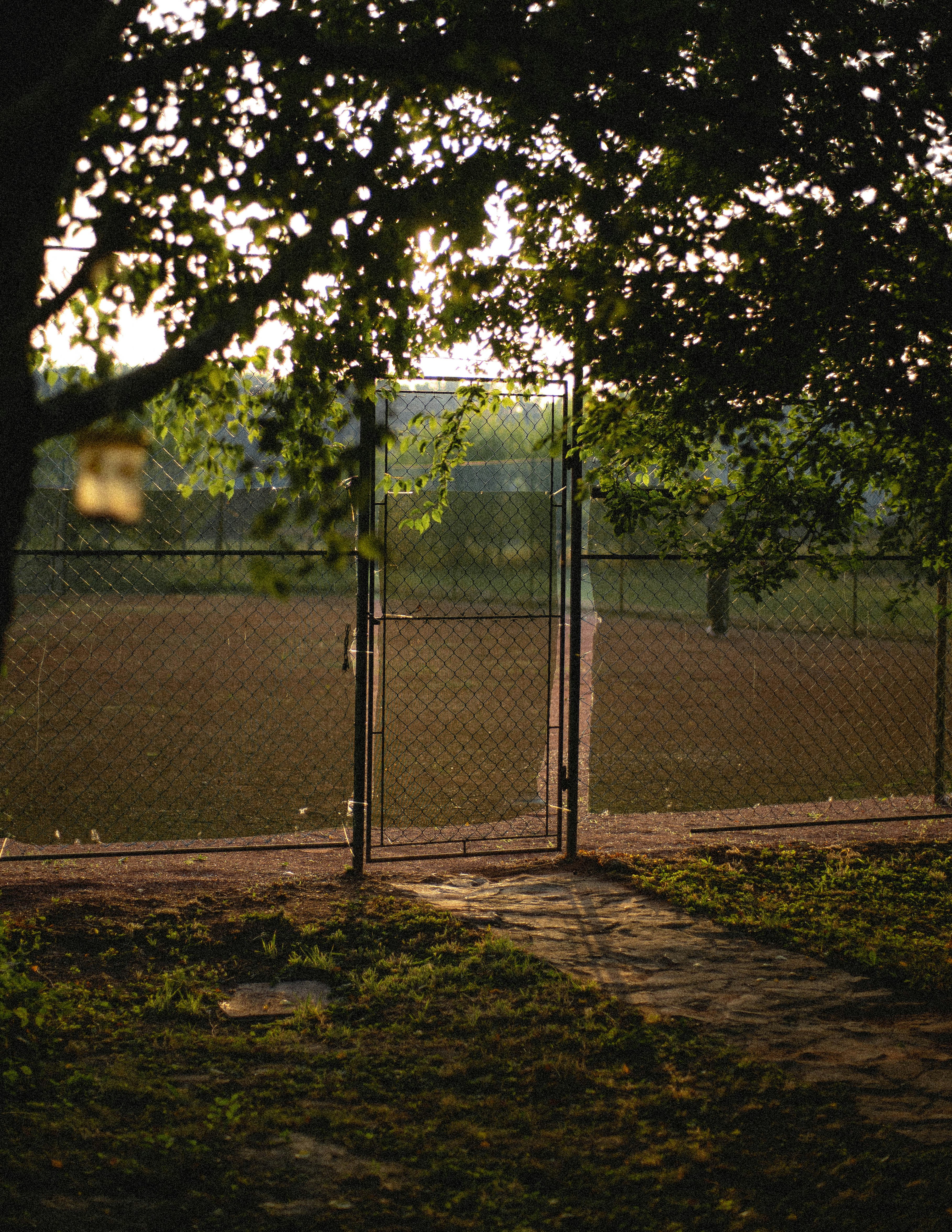 black metal fence near trees during daytime