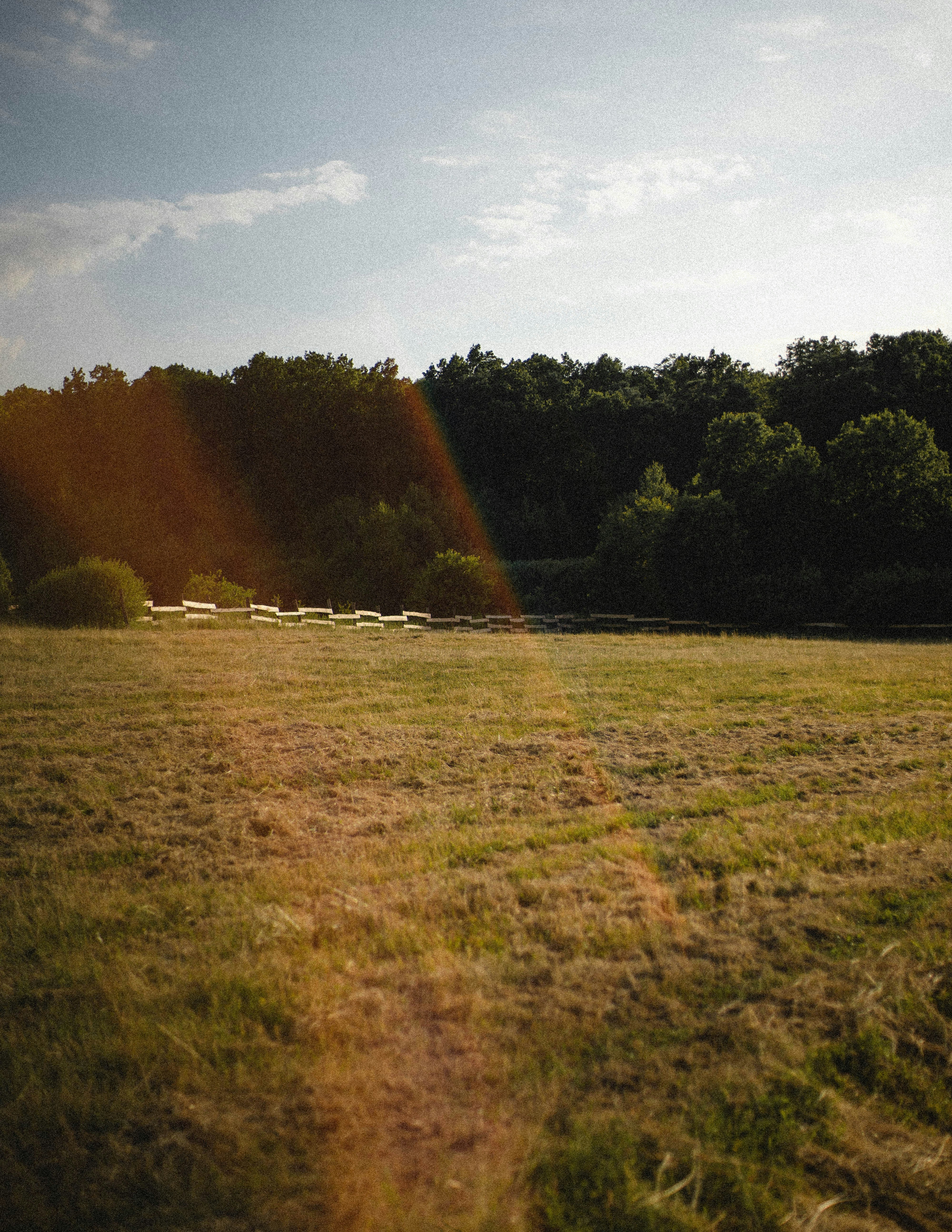 Photo by babigraf