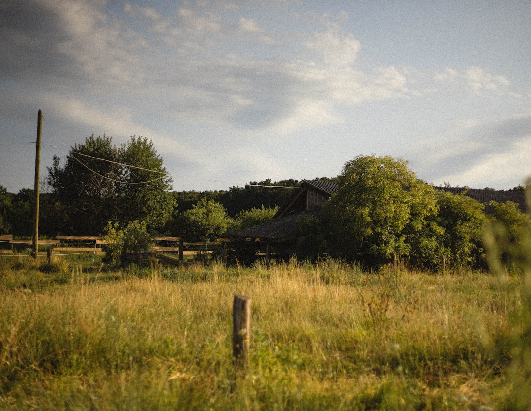 Travel Tips and Stories of Csöde in Hungary