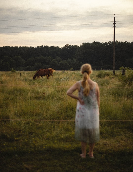 woman in white dress standing beside brown horse during daytime in Csöde Hungary