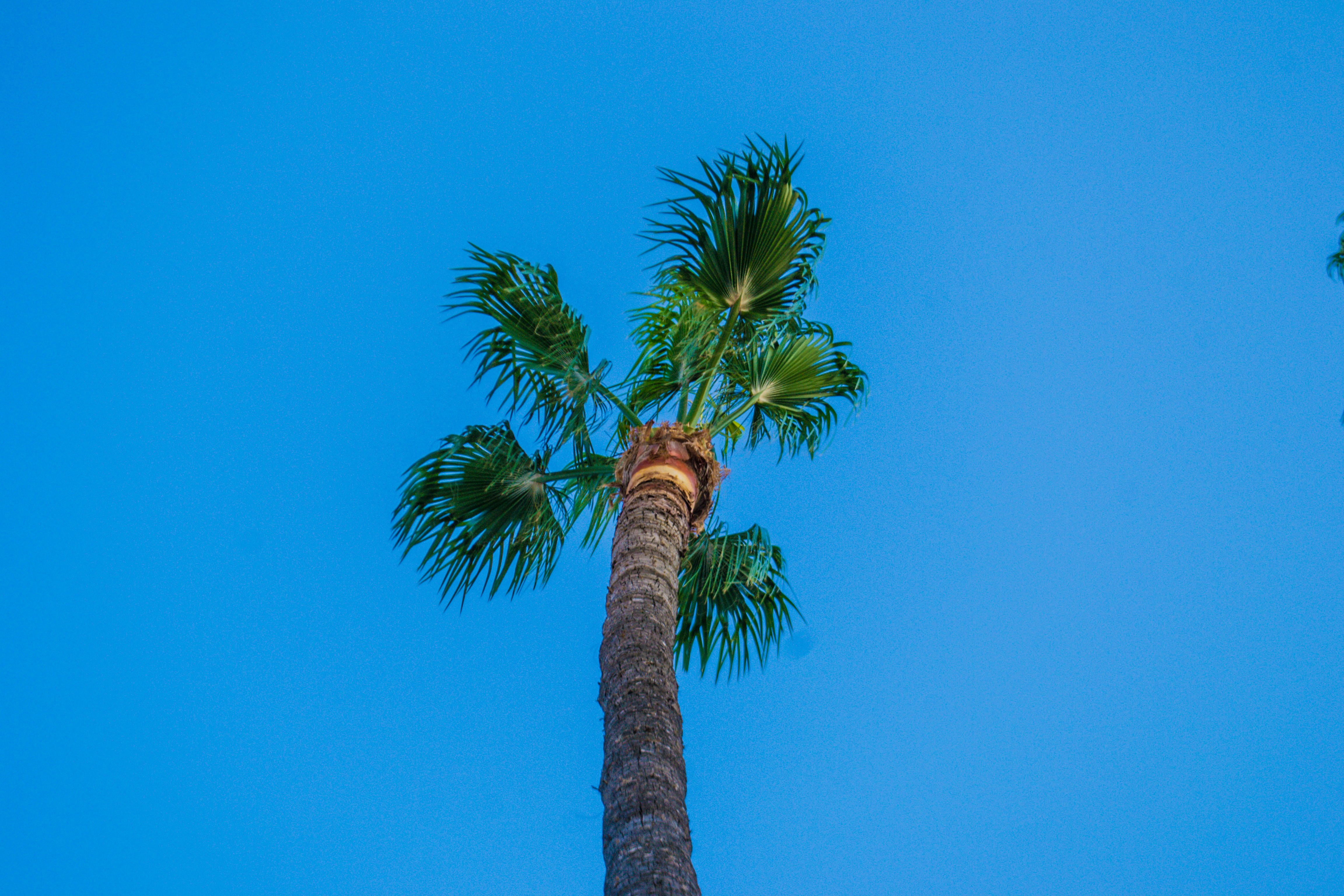 Photo by felixgething