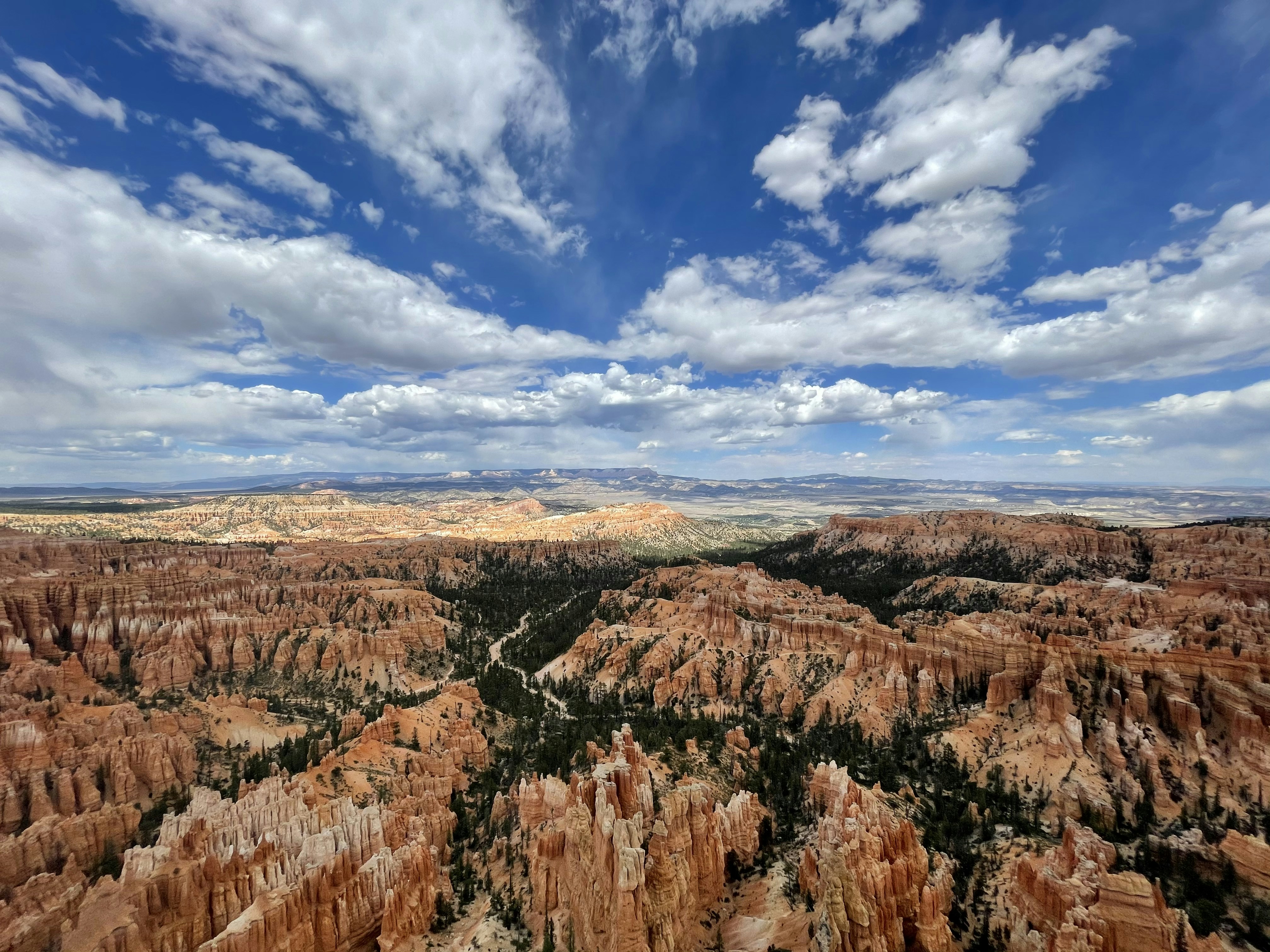 Photo by mattthomason