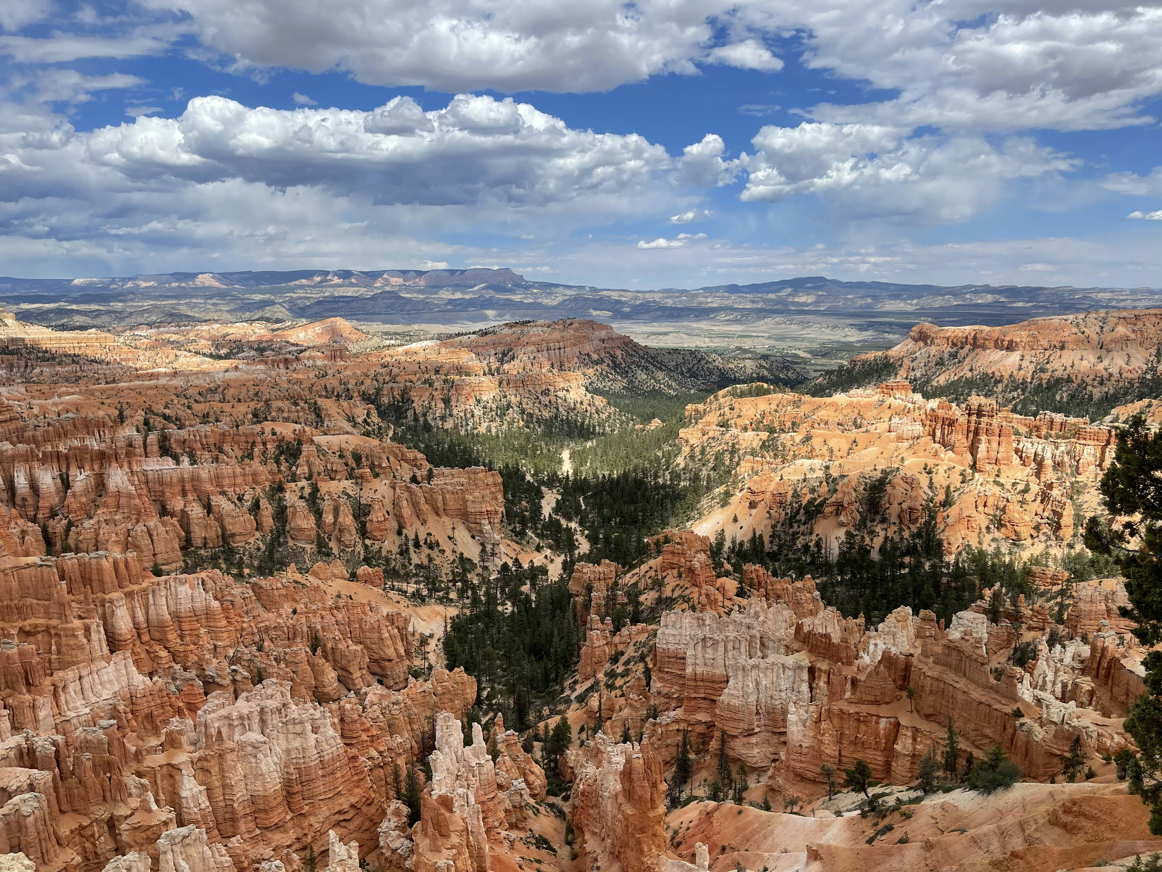 Photo by mattthomason