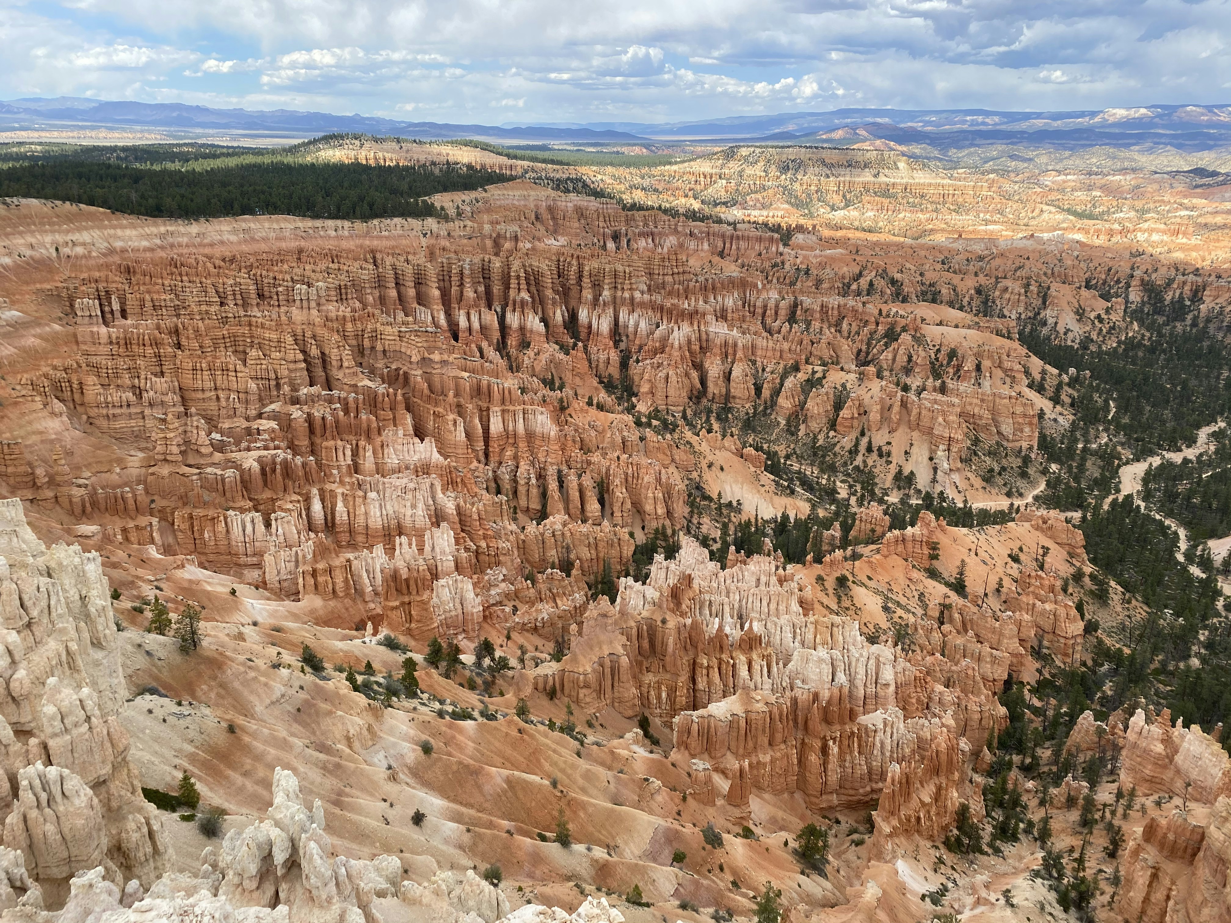 Photo by mattthomason