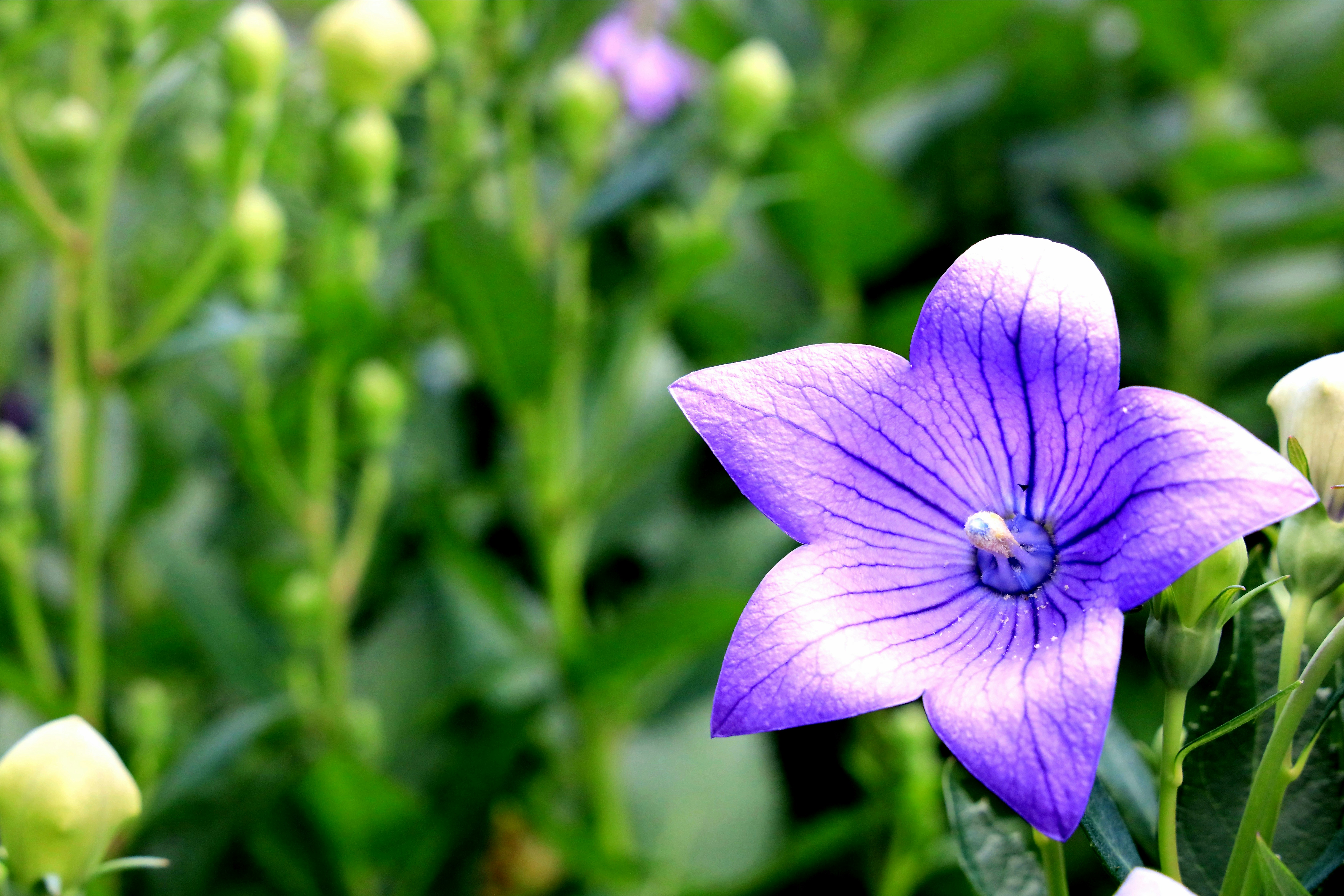 Photo by richardworks