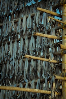 A close-up view of numerous fish hanging vertically on wooden racks, likely for the purpose of drying. The arrangement of the fish is dense and orderly, with each fish suspended head-down alongside others. The wooden racks are constructed of unrefined bamboo poles, tied together with rope, suggesting a traditional method of fish preservation. The background is partially visible, showing a clear blue sky.