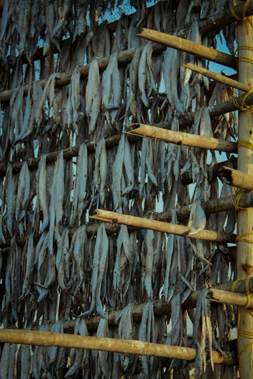 A close-up view of numerous fish hanging vertically on wooden racks, likely for the purpose of drying. The arrangement of the fish is dense and orderly, with each fish suspended head-down alongside others. The wooden racks are constructed of unrefined bamboo poles, tied together with rope, suggesting a traditional method of fish preservation. The background is partially visible, showing a clear blue sky.