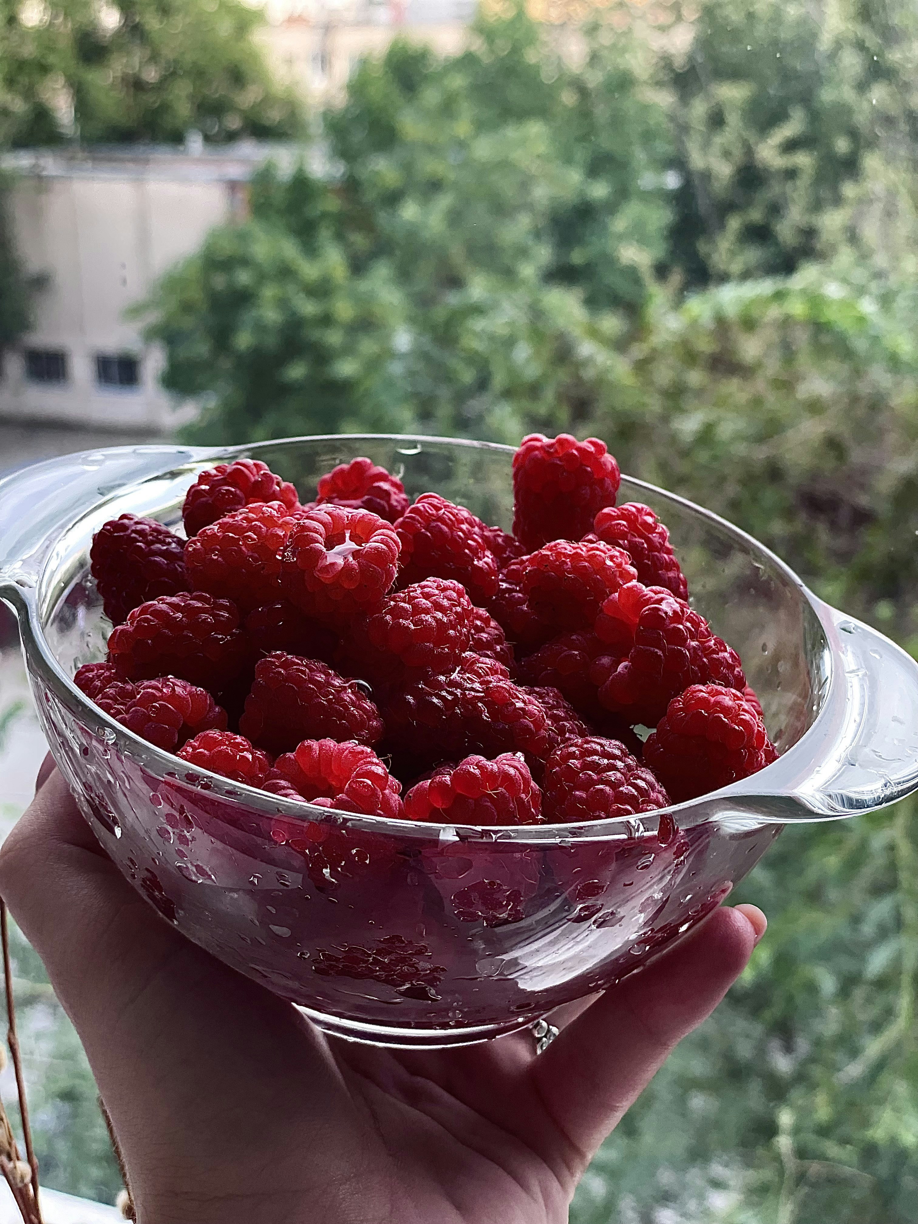 photo-1626114381654-7686a12dfa91?ixid=M3wxMjA3fDB8MXxzZWFyY2h8MTgwfHxncmFwZSUyMHJhc3BiZXJyeXxlbnwwfHx8fDE3NDAxNTUxNTF8MA%5Cu0026ixlib=rb-4.0.3