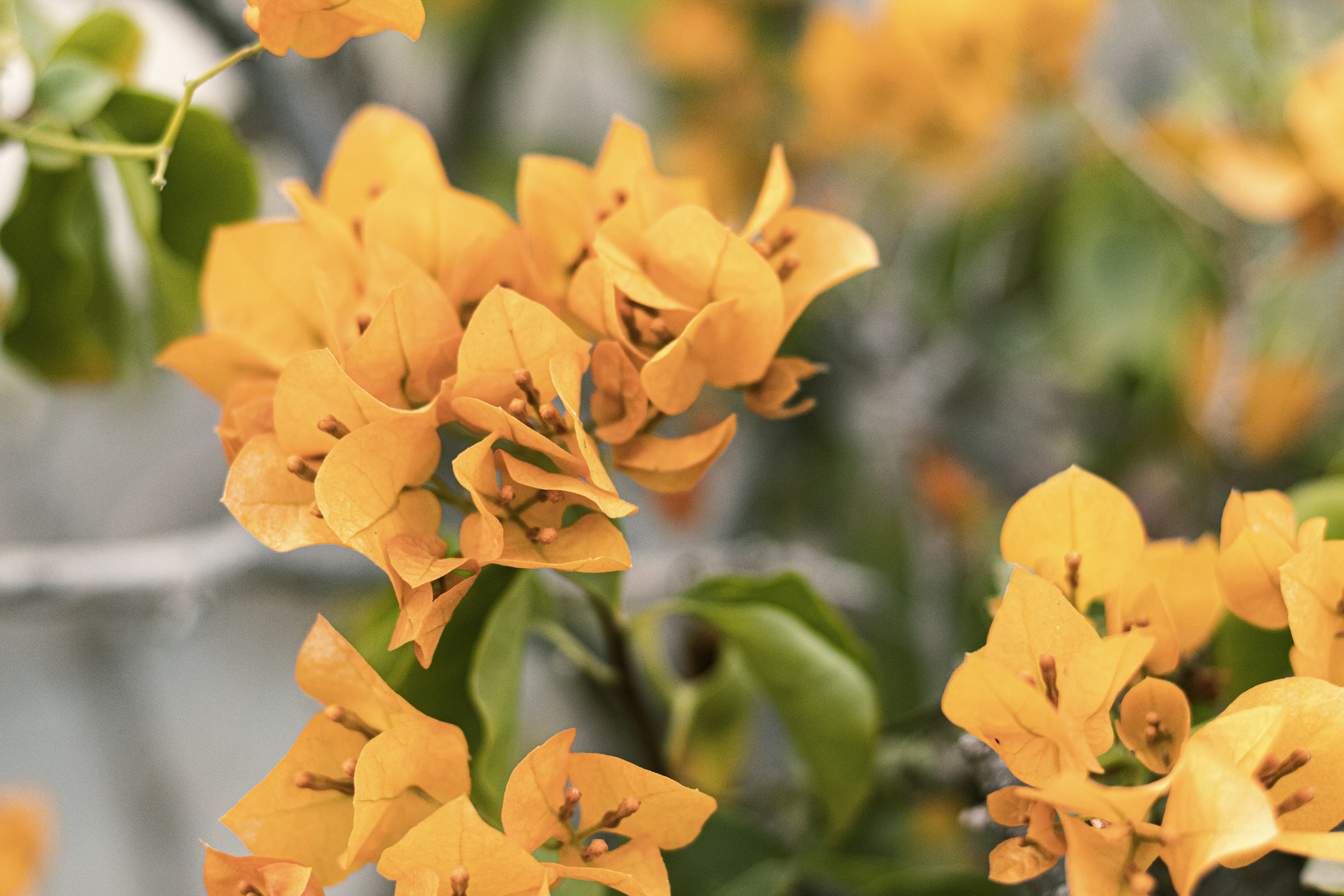 Photo by countingframez