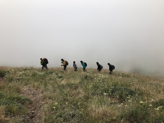 people walking on green grass field during daytime in Mount Khustup Armenia