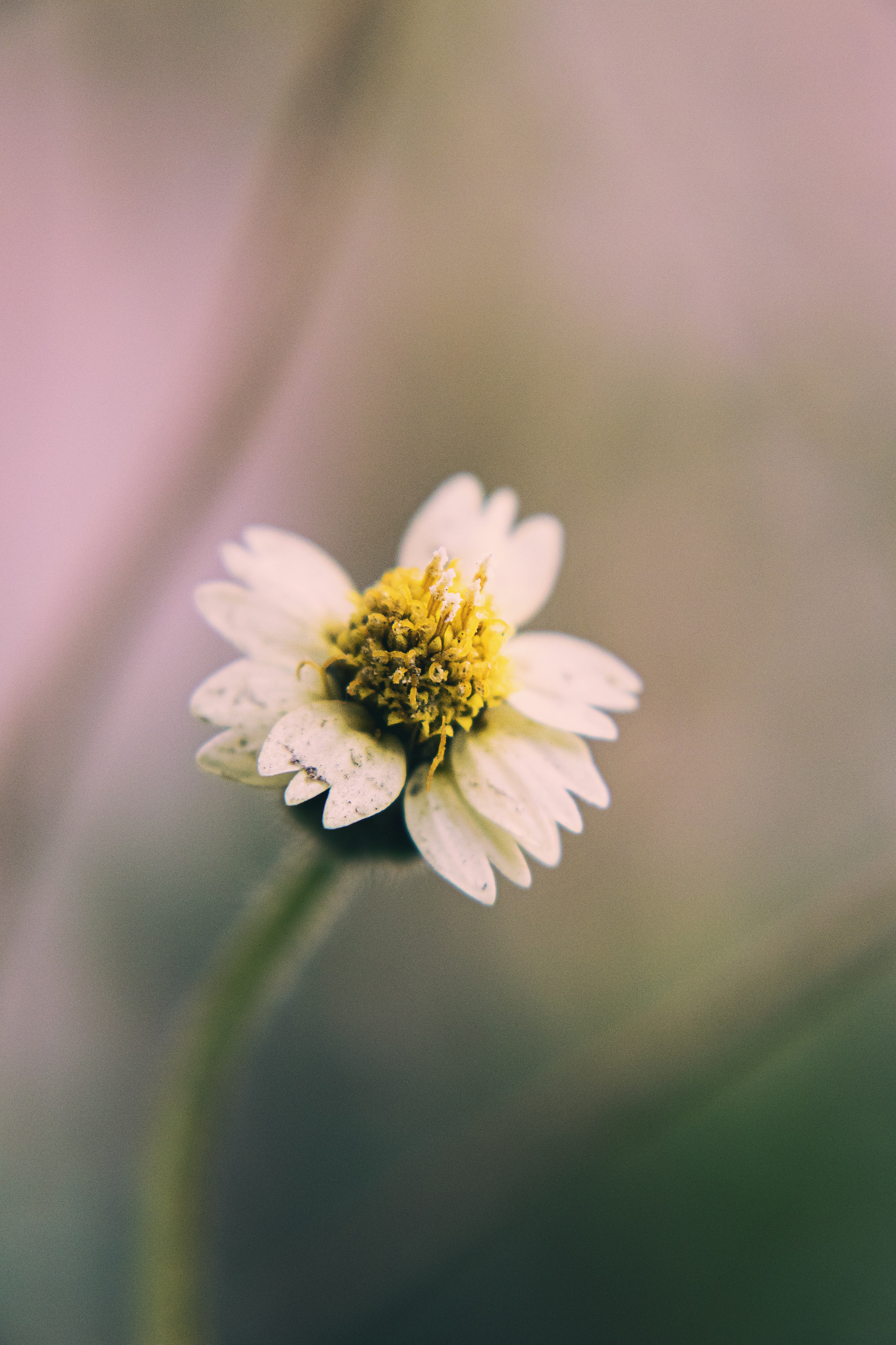 Photo by countingframez