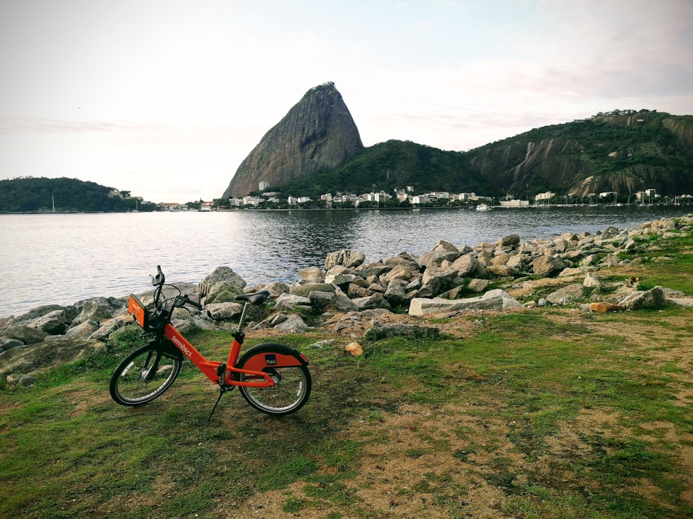 Bicicleta roja y negra en la hierba verde cerca del cuerpo de agua durante el día