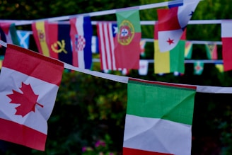 green white and red flag