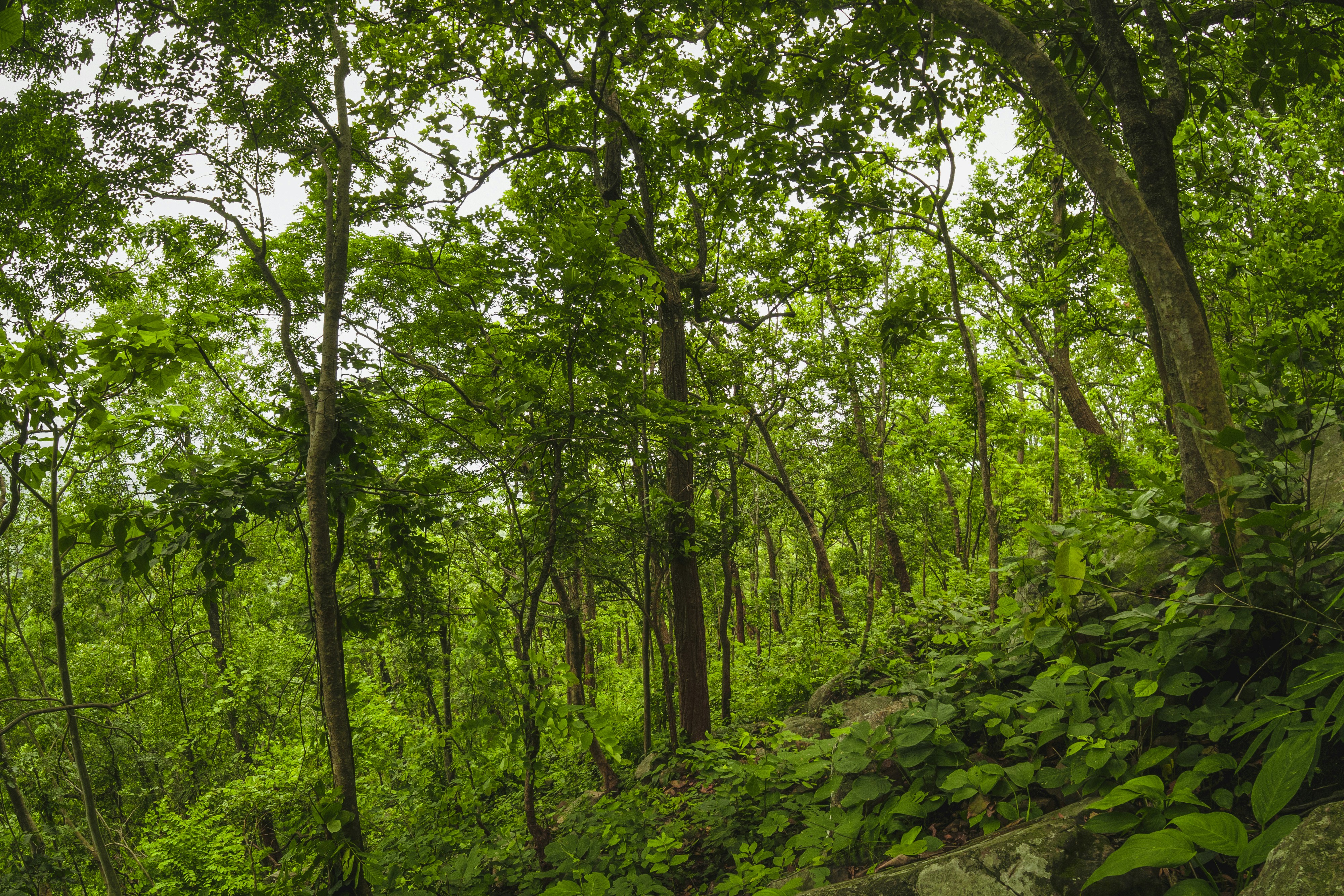 Photo by subhadeep57