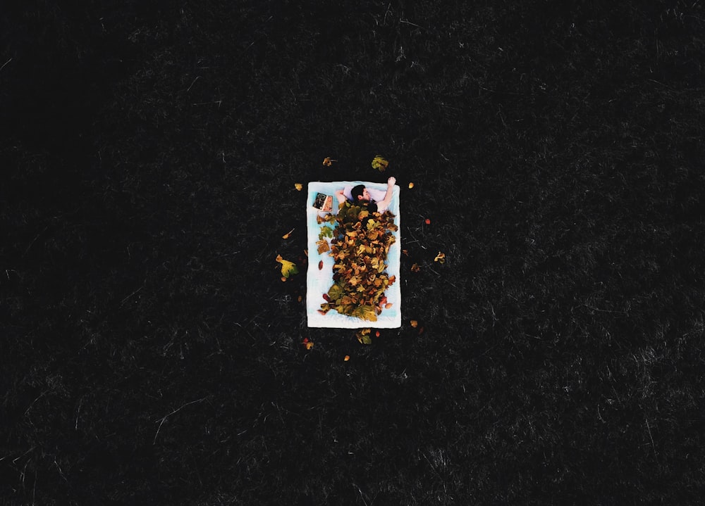 a plate of food on a black surface